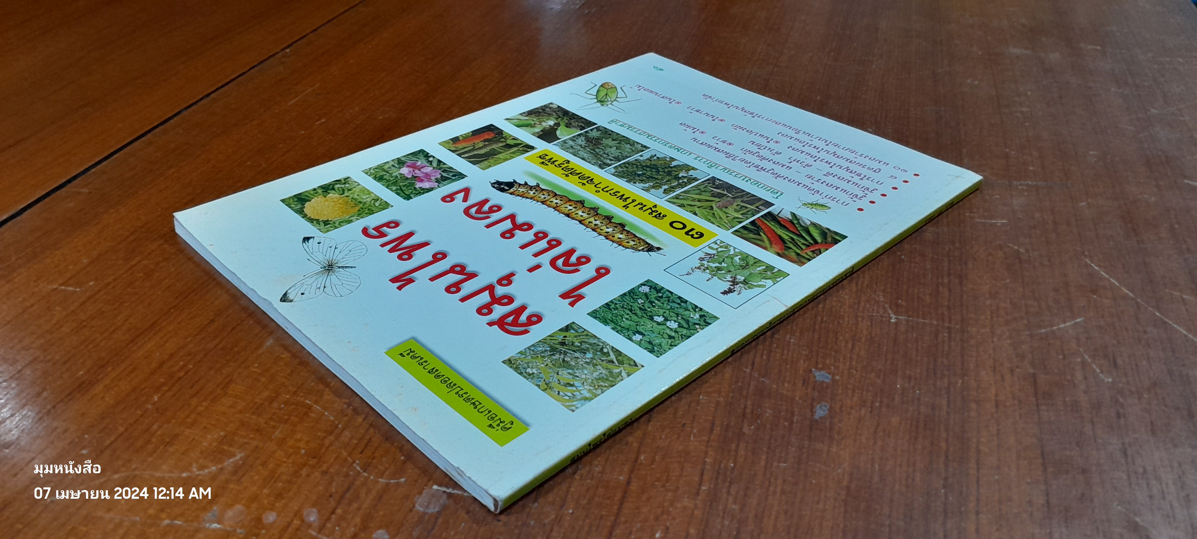 สมุนไพรไล่แมลง / เกษตรกรรมธรรมชาติ