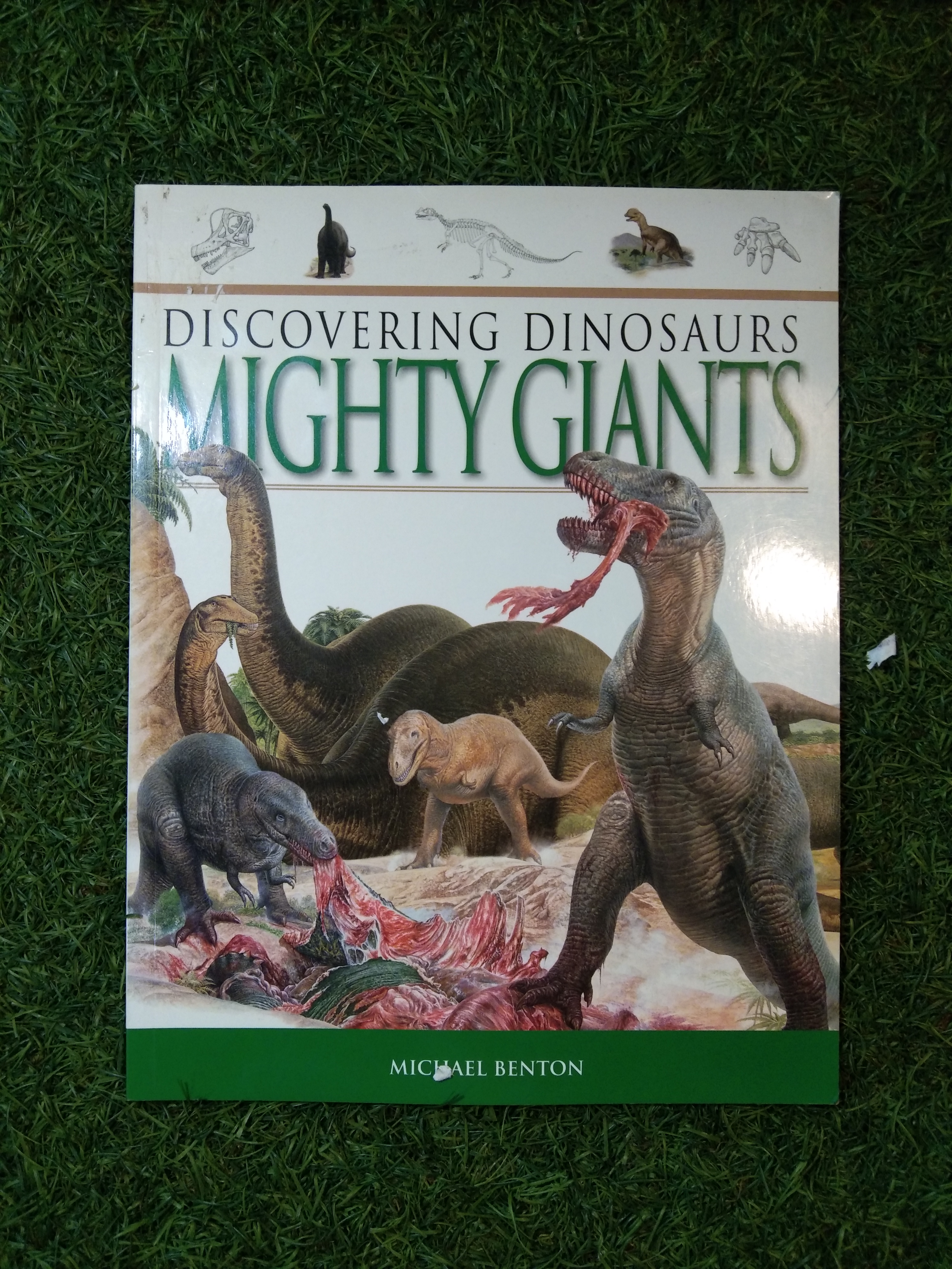 DISCOVERING DINOSAUR MIGHTY GIANTS / MICHAEL BENTON