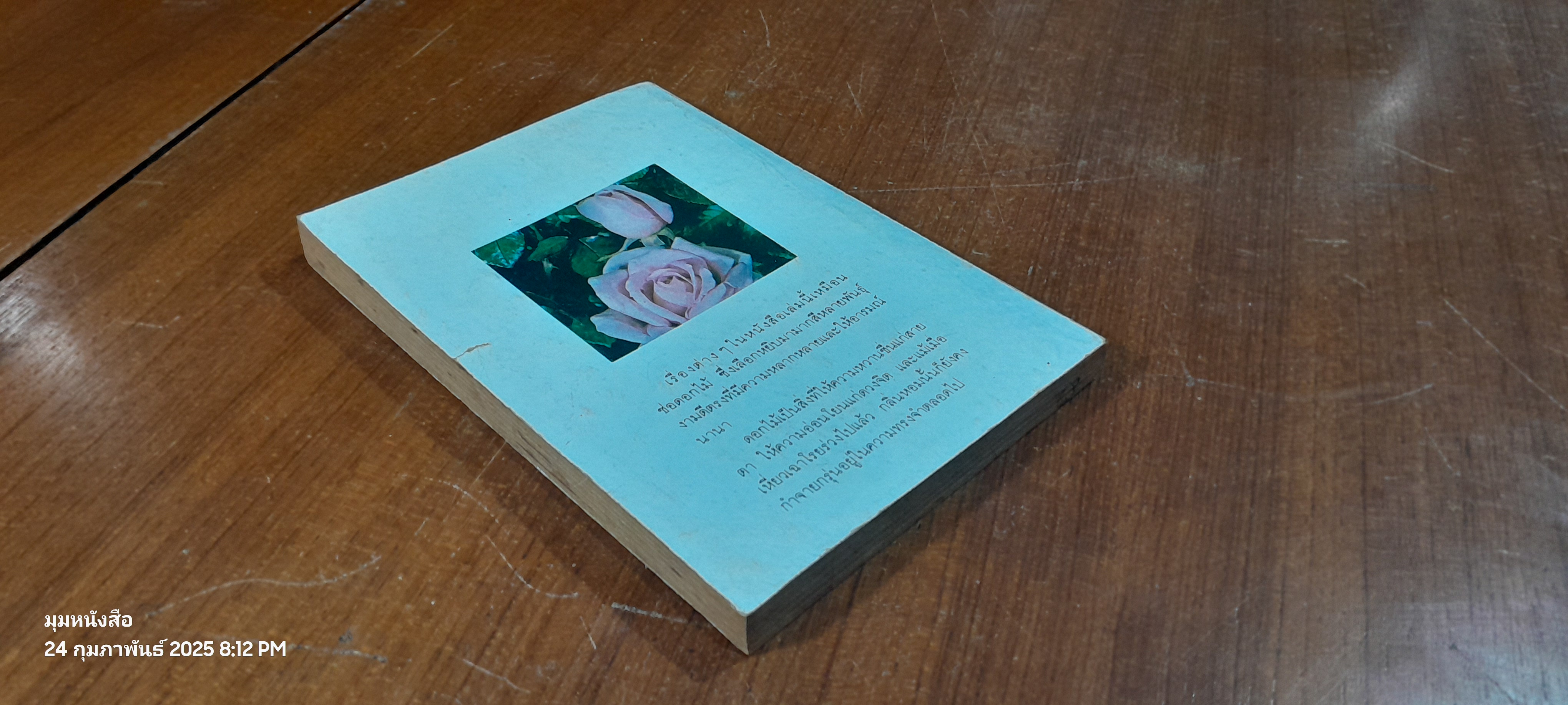 เลขาคนใหม่ / มนันยา