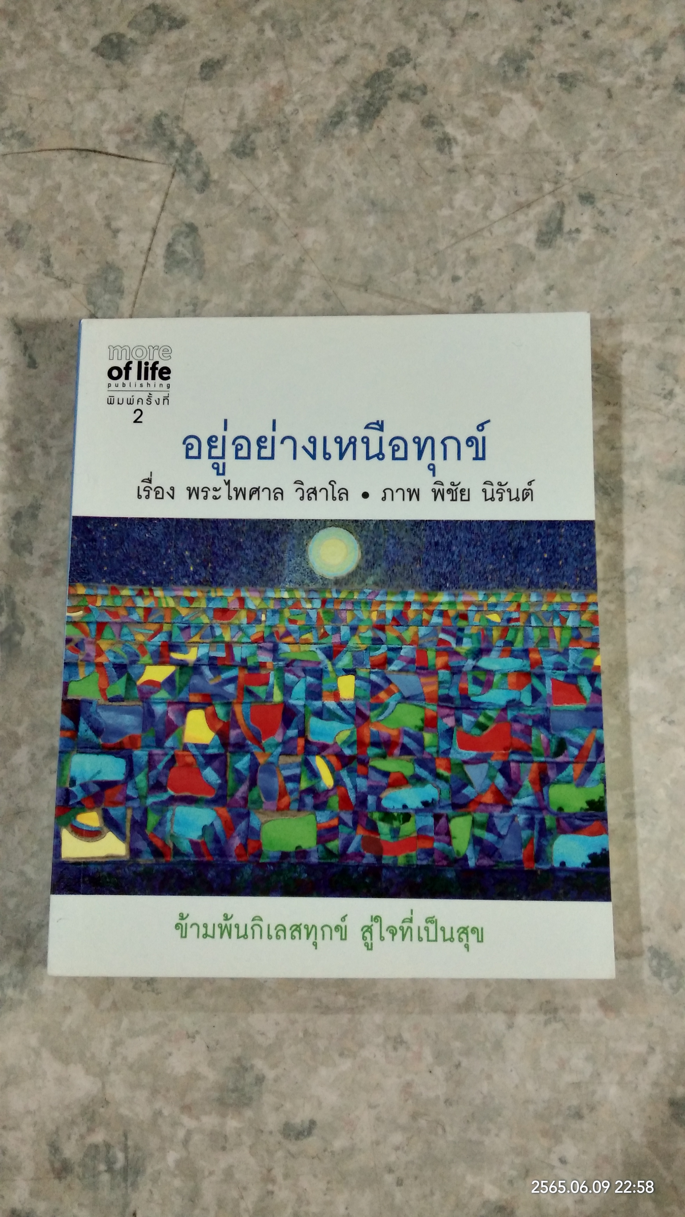 อยู่อย่างเหนือทุกข์ / พระไพศาล วิสาโล