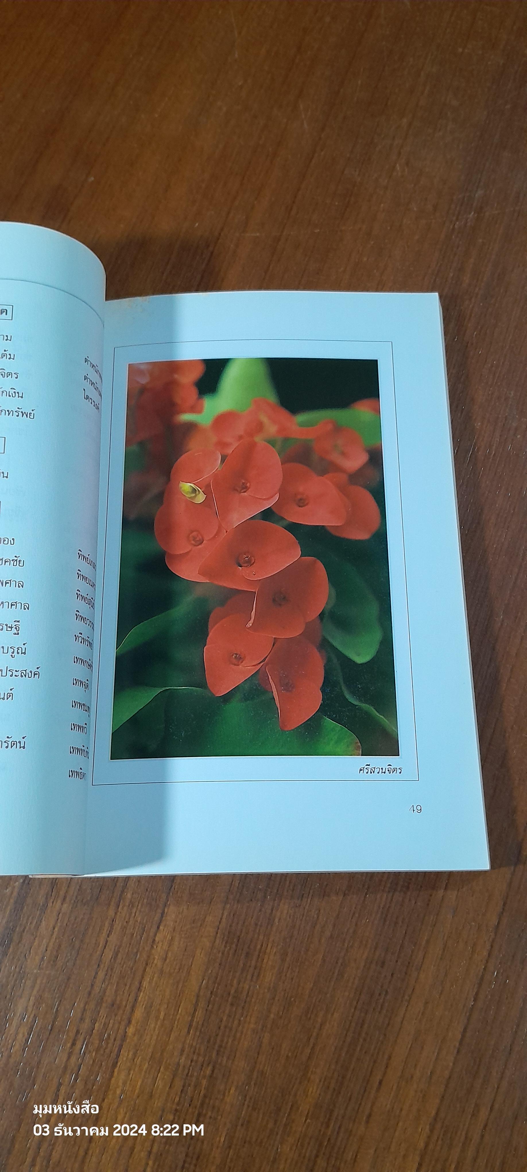 คู่มือการปลูกเลี้ยง โป๊ยเซียน / ประเสริฐ ศิริบุญเรือง