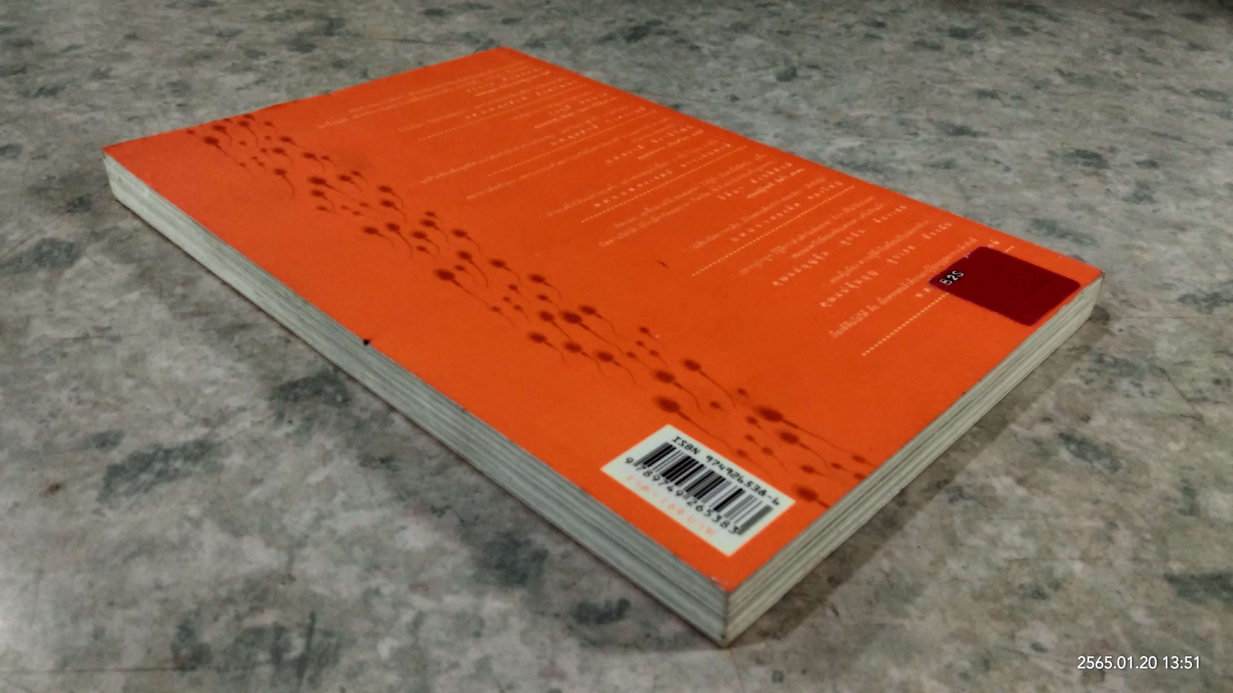 อยากเป็นแม่แค่ขาดใจ / ตรีชญา