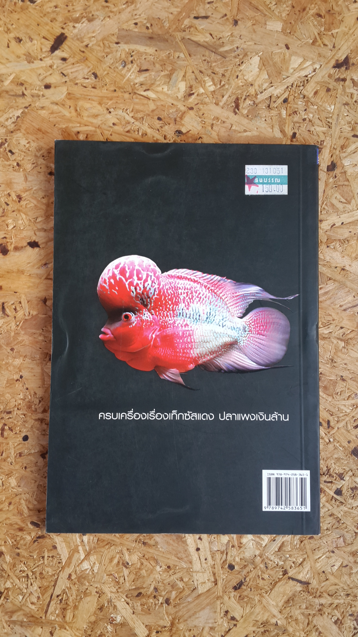 ครบเครื่องเรื่องปลาหมอสี