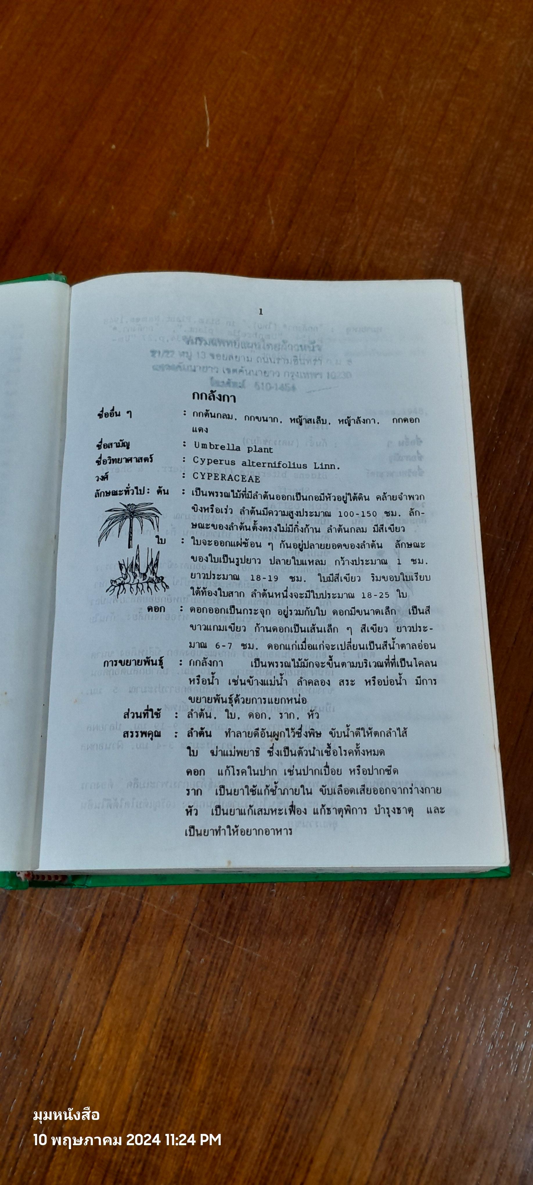 พจนานุกรมสมุนไพรไทย / ดร.วิทย์ เที่ยงบูรณธรรม