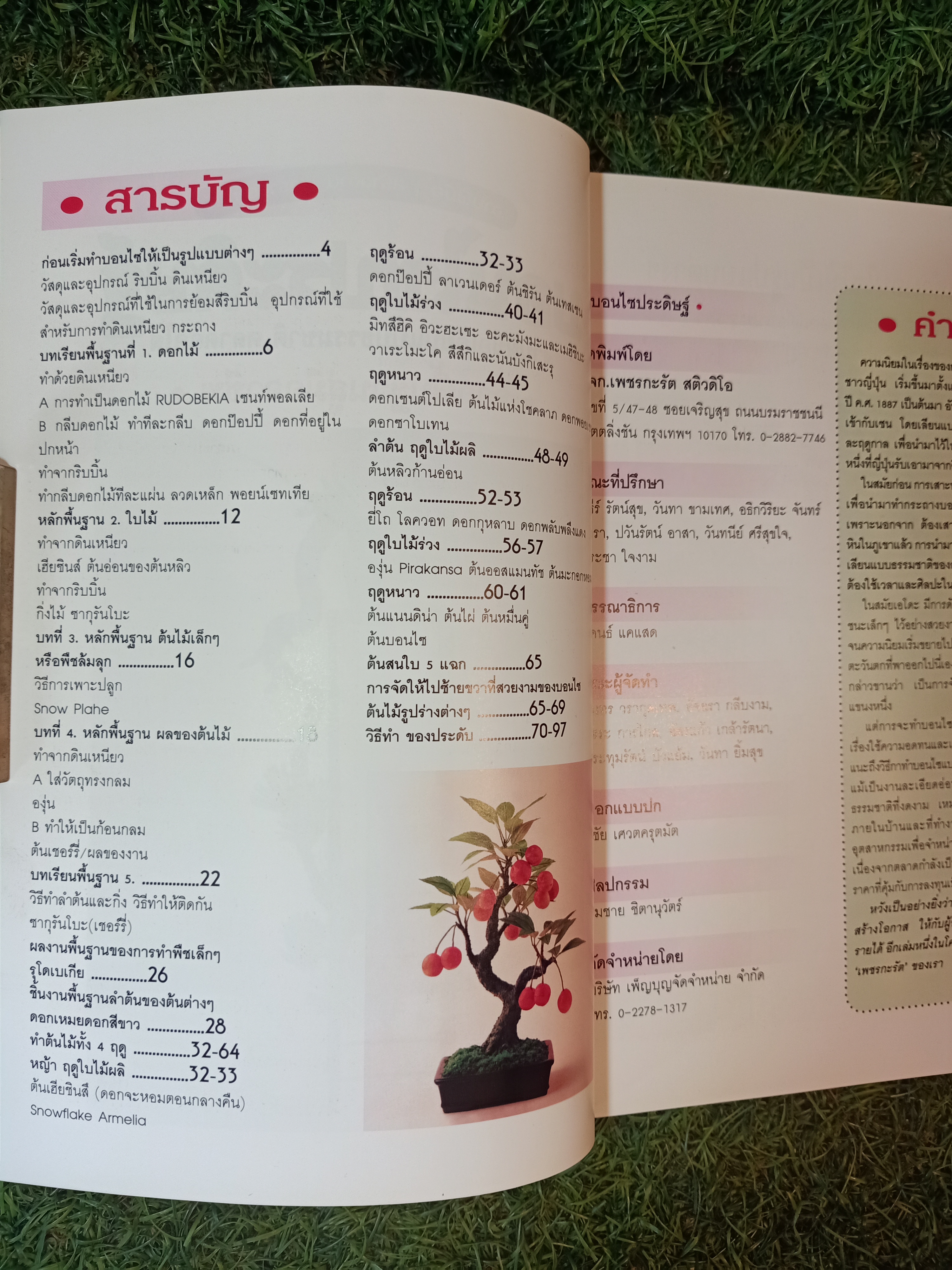 บอนไซประดิษฐ์ / หจก. เพชรกะรัต สติวดิโอ