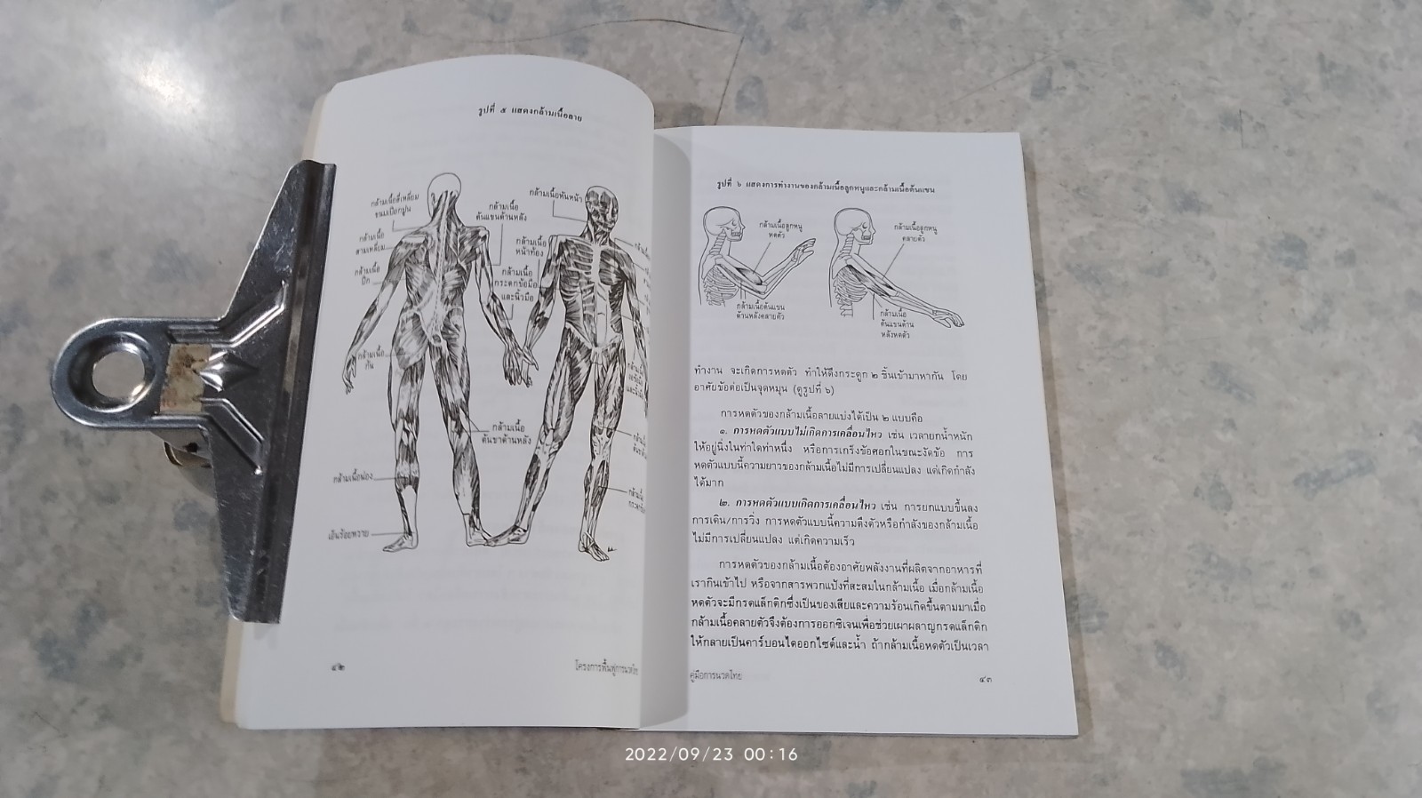 คู่มือนวดไทย ในการสาธารณสุขมูลฐาน