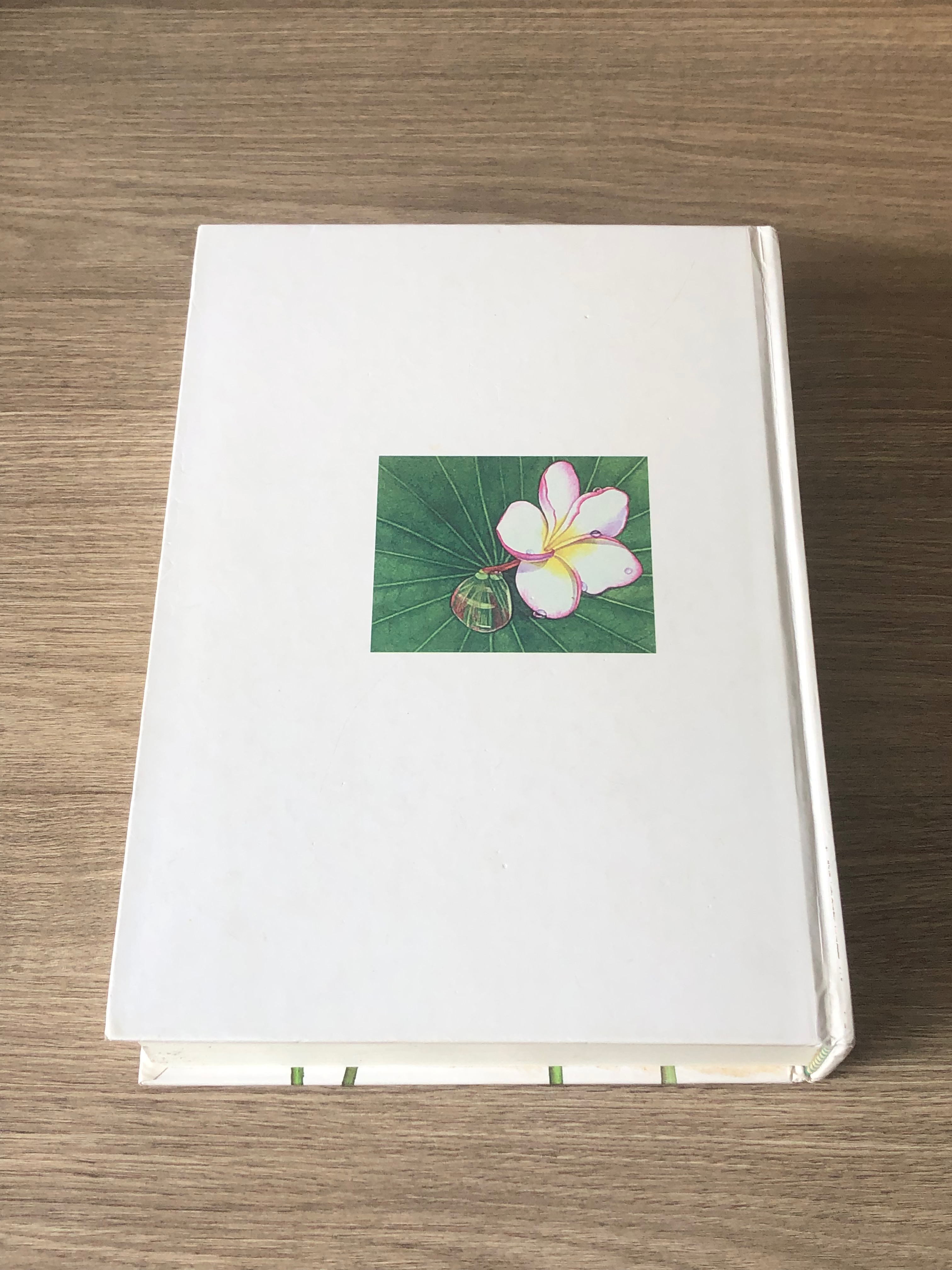 เข้าสู่แดนอวกาศของจิตของธรรม / ท่านอาจารย์พระมหาบัว ญาณสมฺปนฺโน