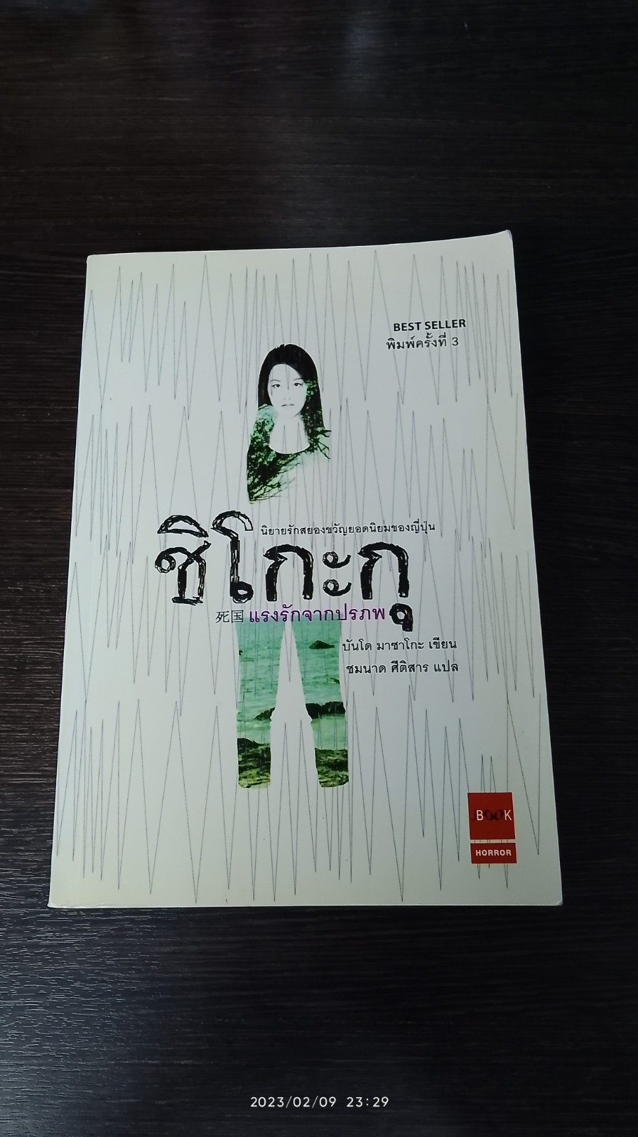 ชิโกะกุ แรงรักจากปรภพ / บันโด มาซาโกะ