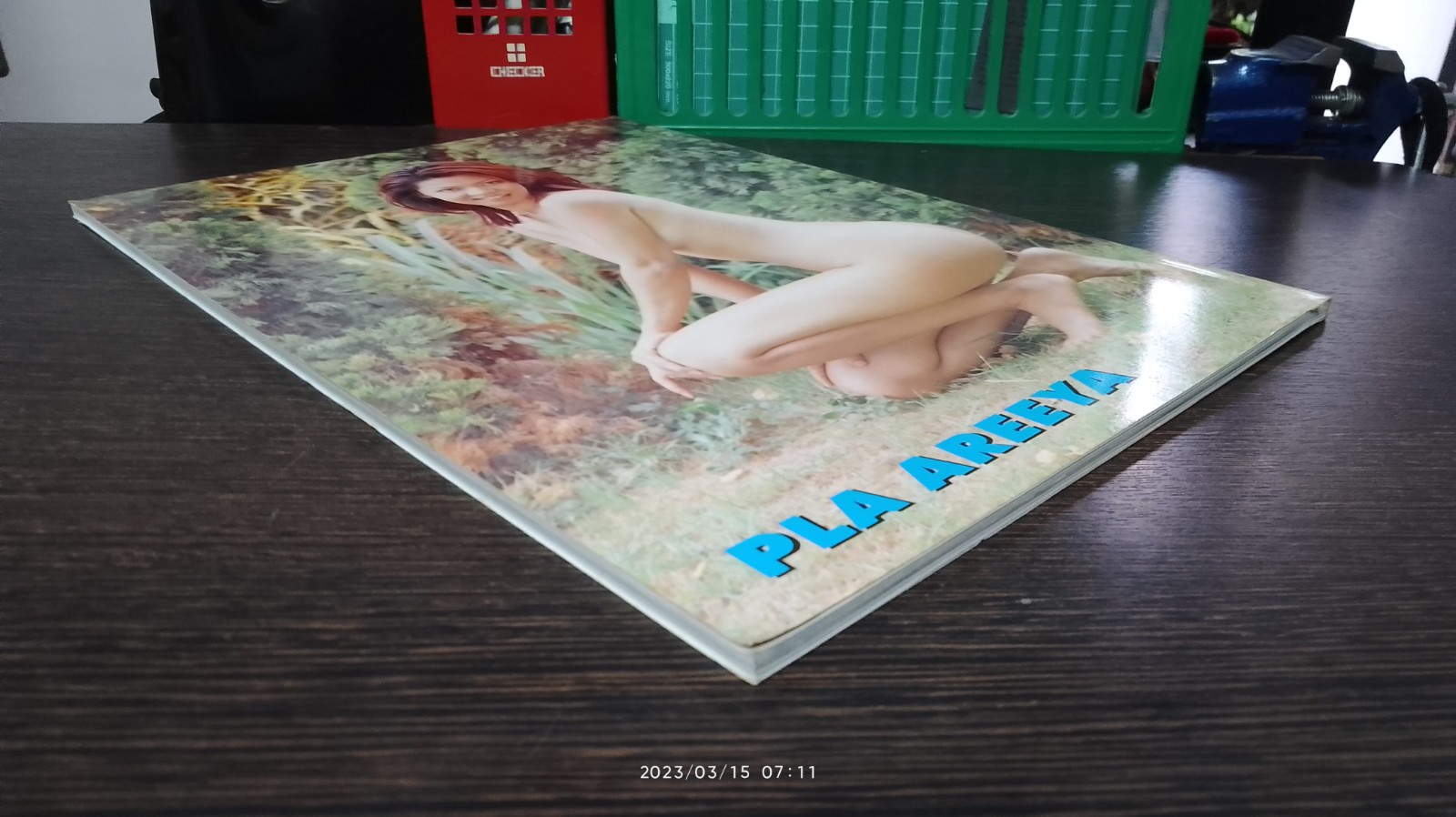 TEST SPECIAL VOL.2 PLA AREEYA