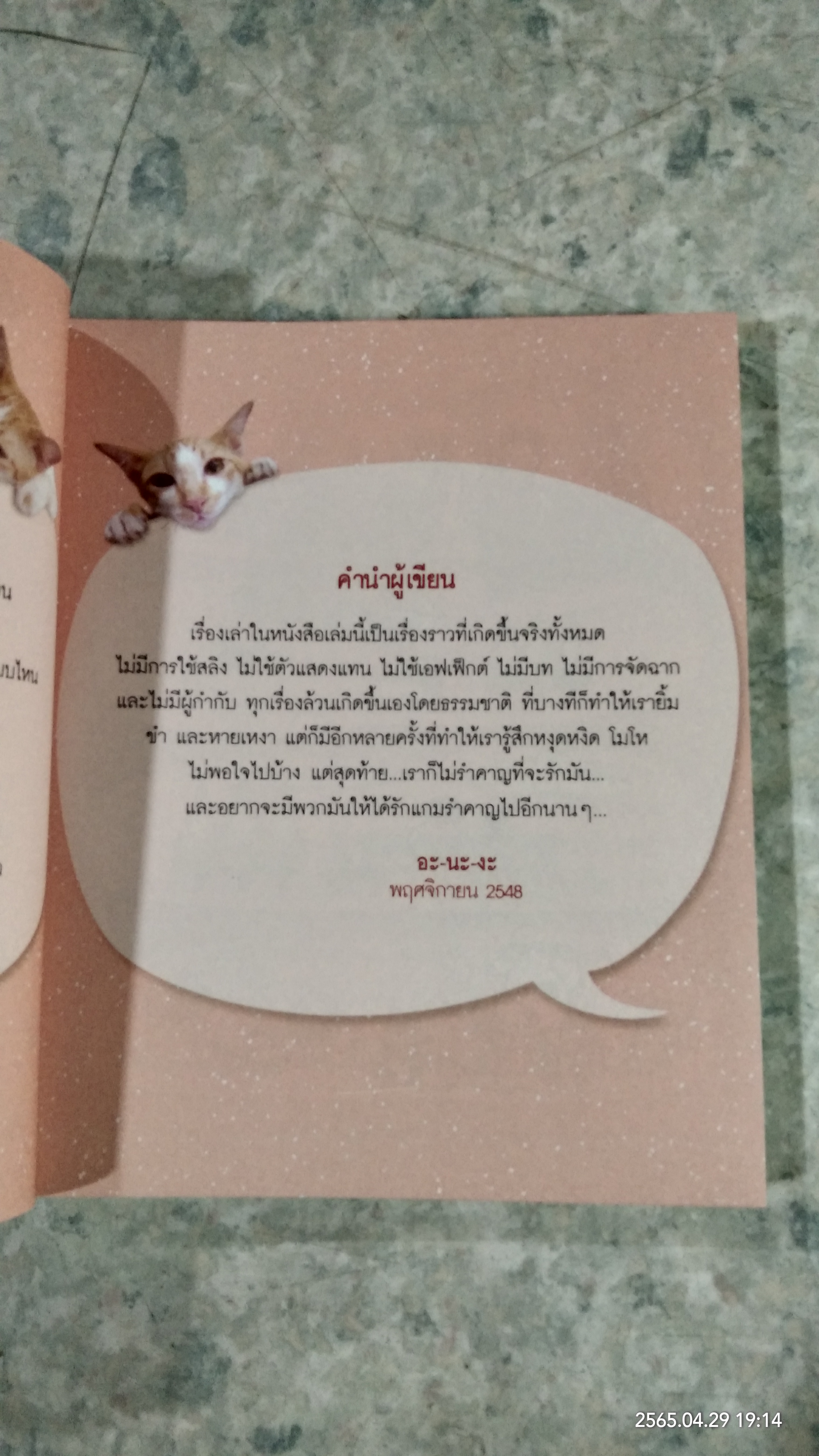 ด้วยรัก...แกมรำคาญ / อะ-นะ-งะ