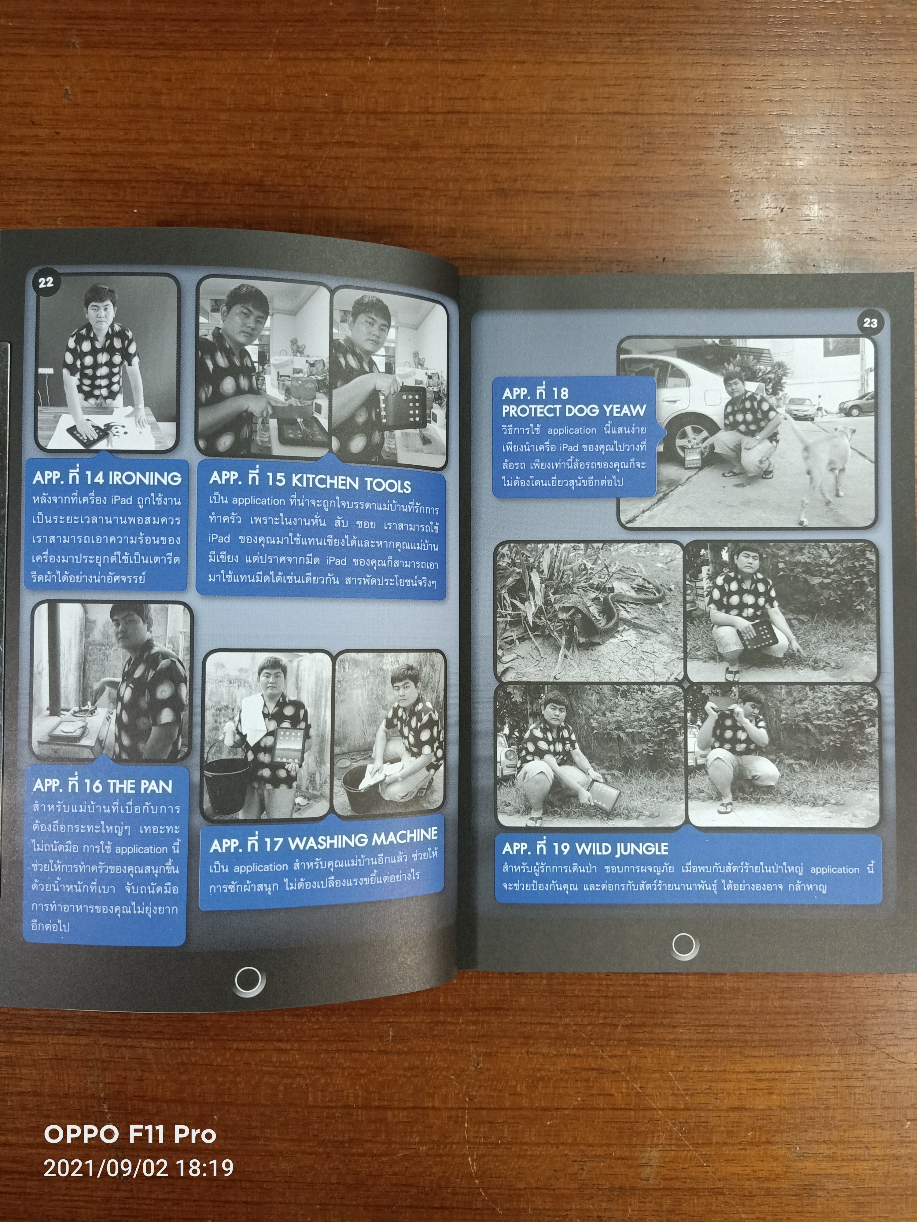 ฮิกาซีน iPad stuPad / มังกรกินหมู