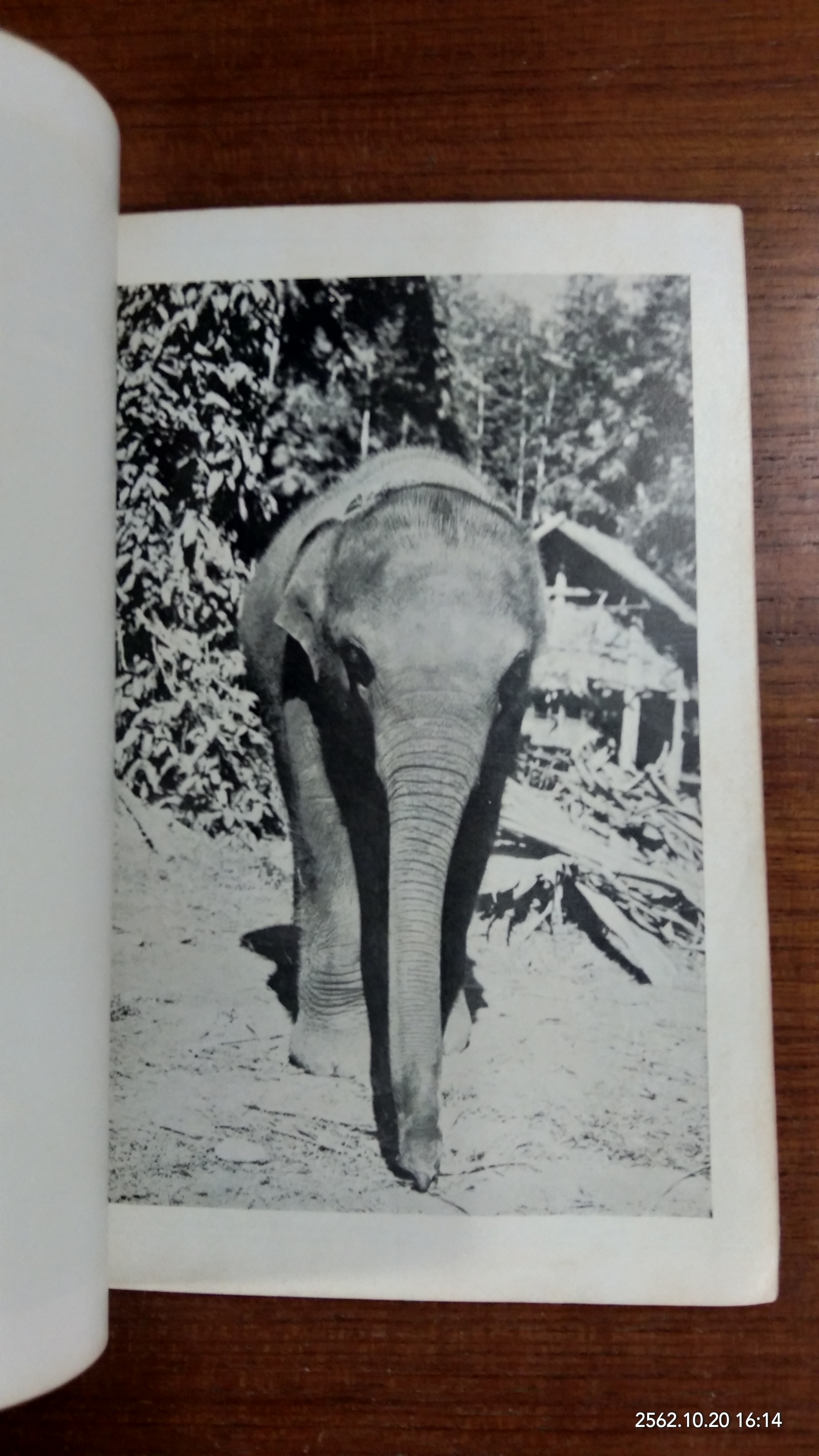 คำฉันท์ ดุษฎีสังเวย และกาพย์ขับไม้ ในงานพระราชพิธี รับ สมโภช และขึ้นระวาง พระเศวตวรรัตนกรี ฯ