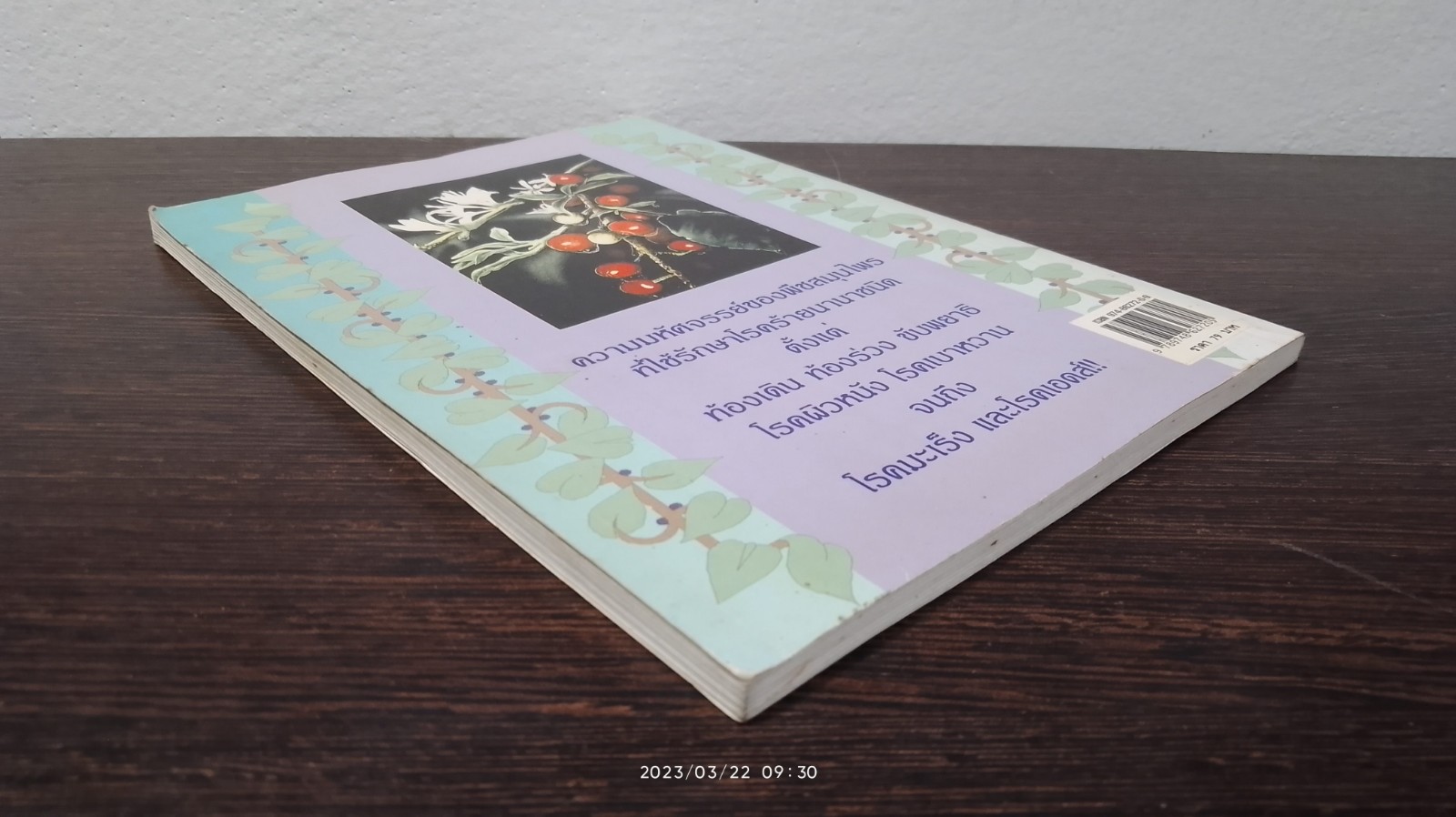 หายเจ็บไข้ด้วยยาสมุนไพร / นายเปรี้ยวหวาน