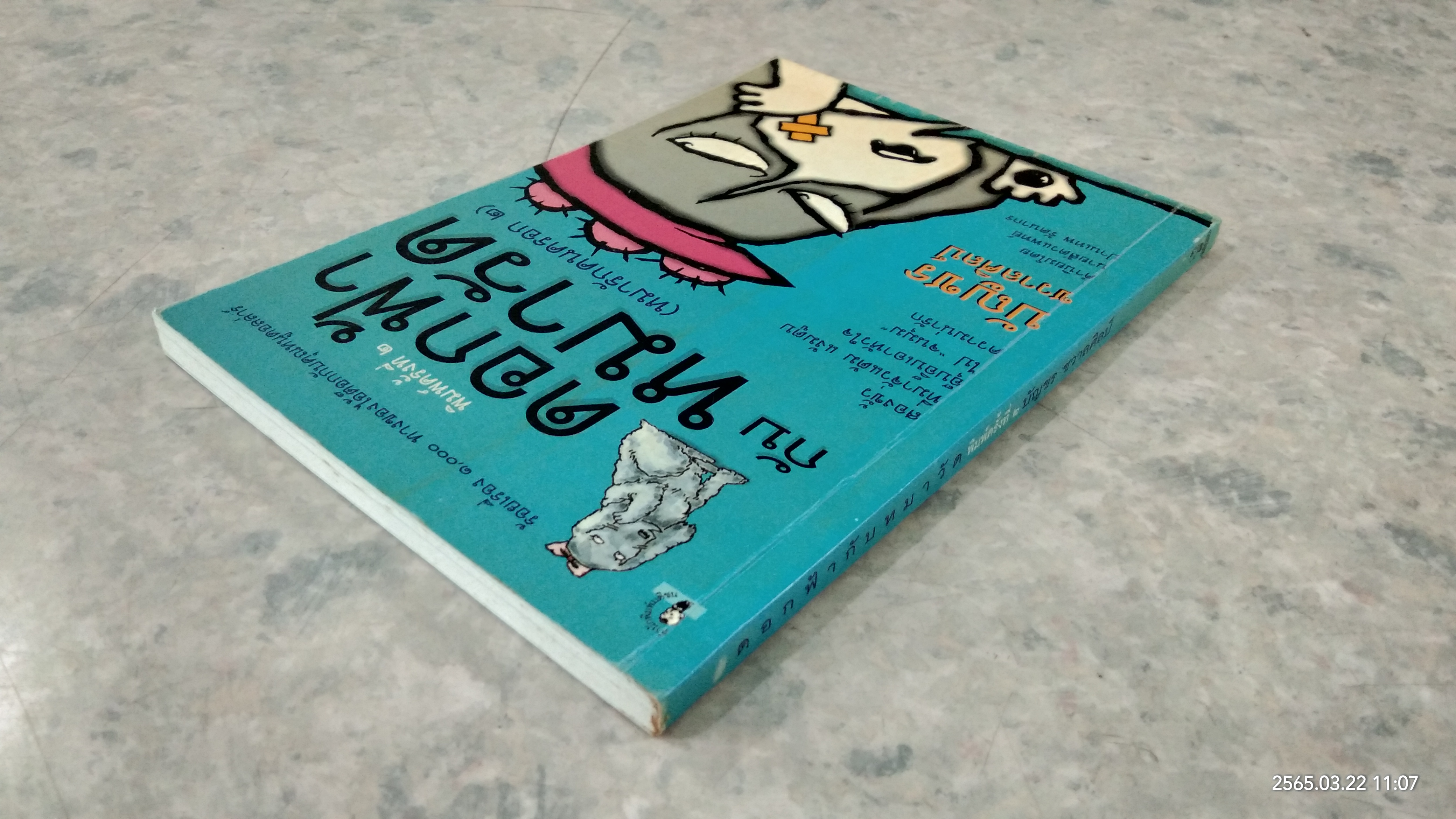 ดอกฟ้ากับหมาวัด / บัญชร ชวาลศิลป์