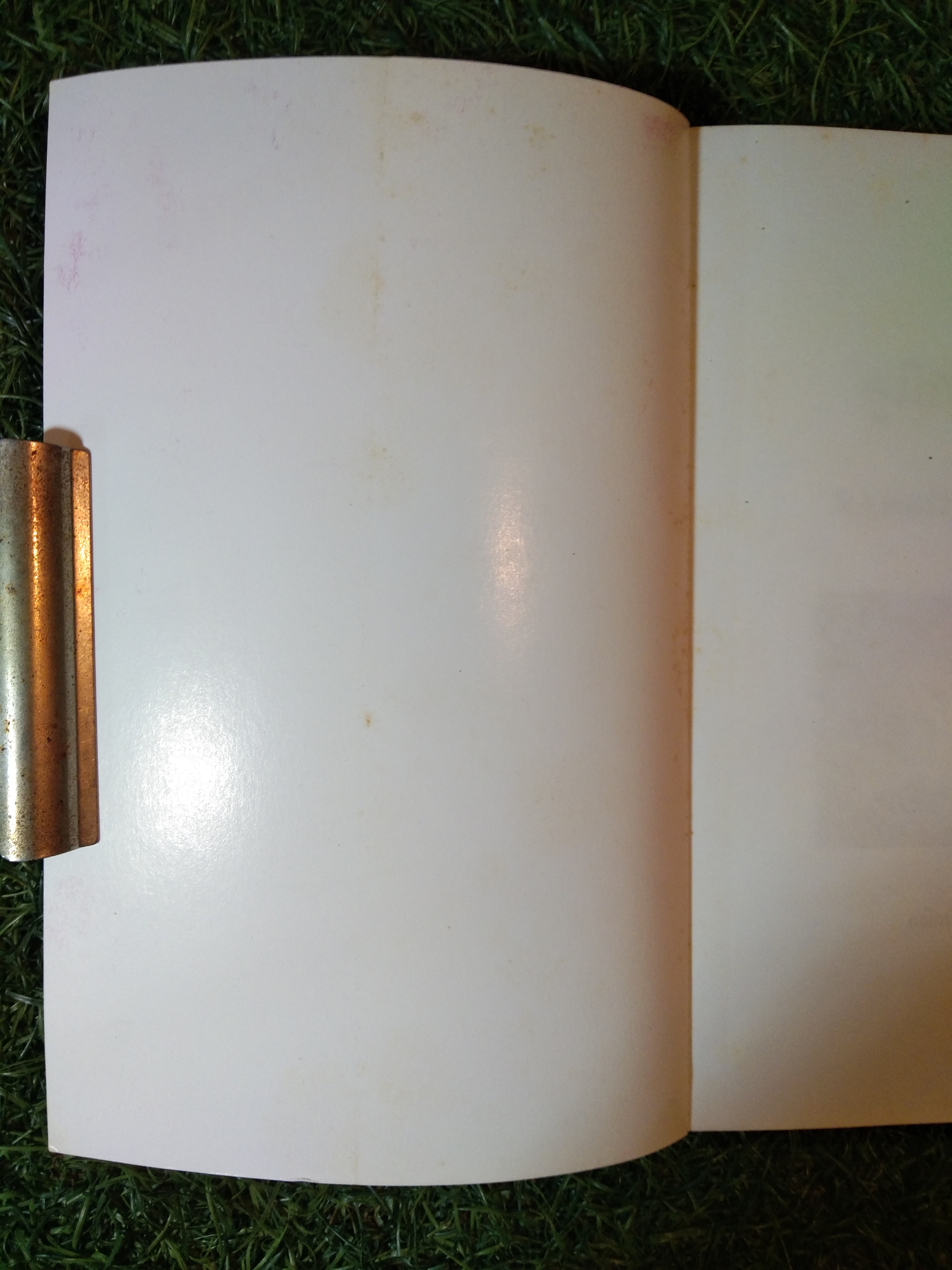 คู่มือกระต่าย THE RABBIT HANDBOOK / กณิกนันท์ ลีฬฆวรรณ