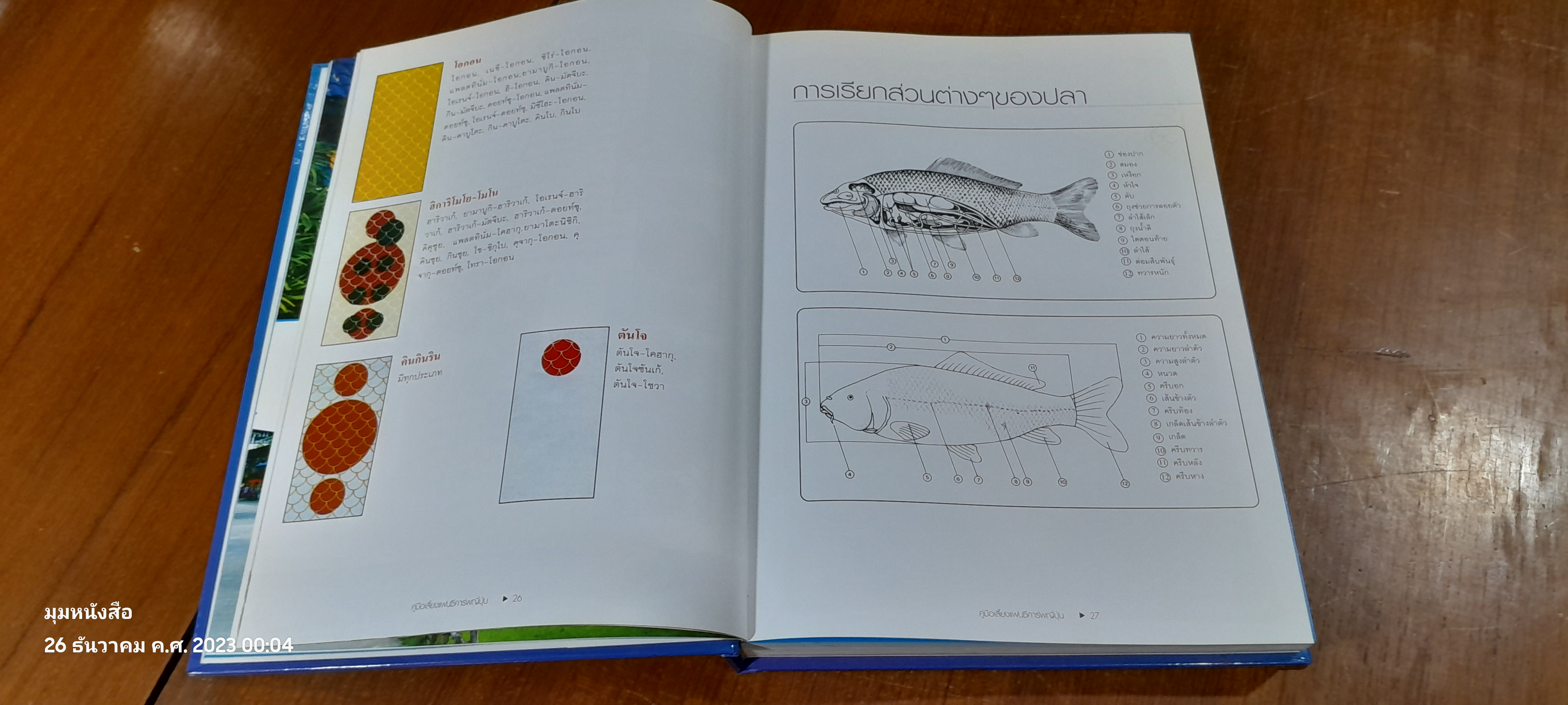 คู่มือเลี้ยงแฟนซีคาร์พญี่ปุ่น / ผิน คิ้วไพศาล
