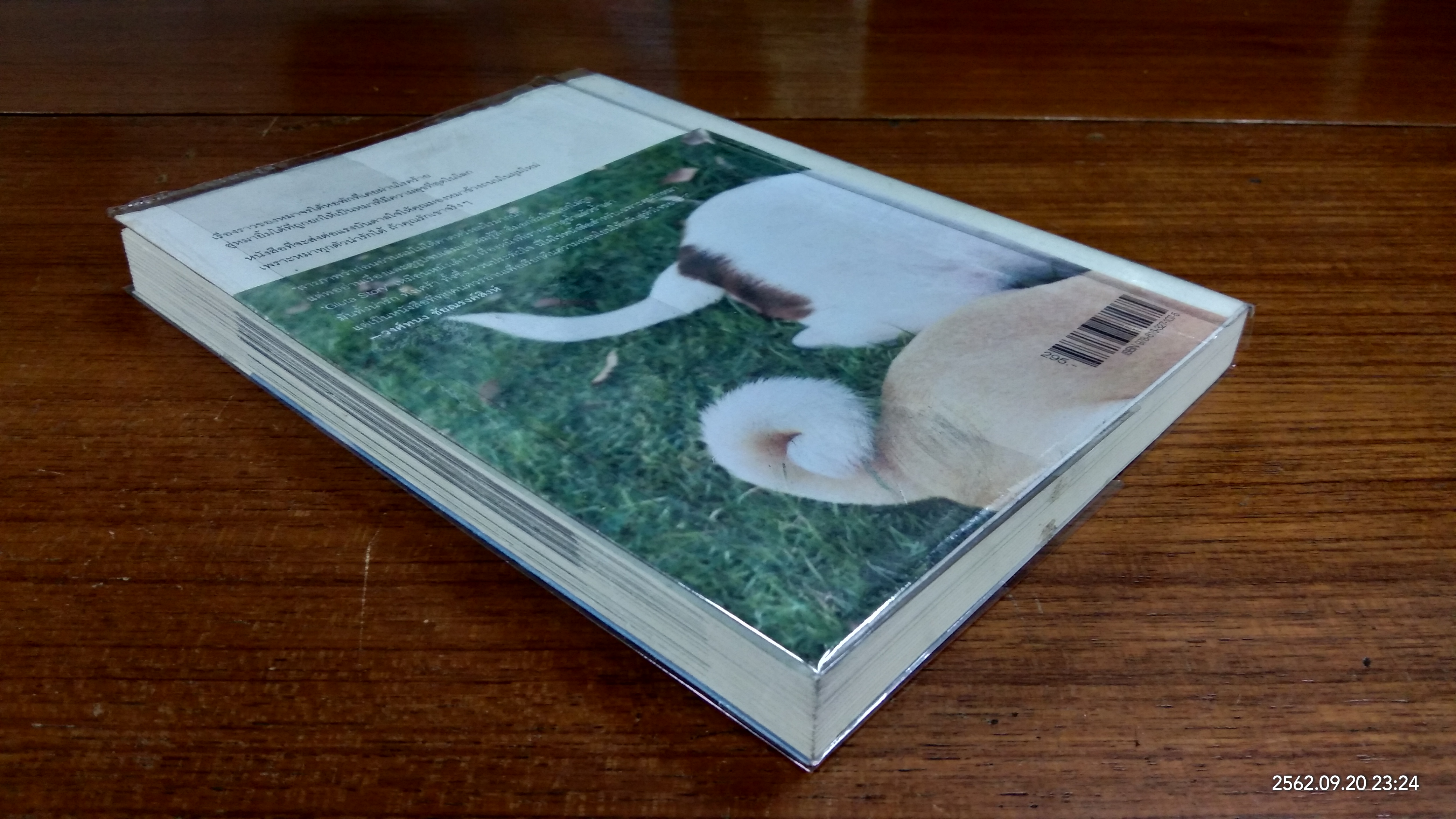 Gluta story / สรศาสตร์ วิเศษสินธุ์