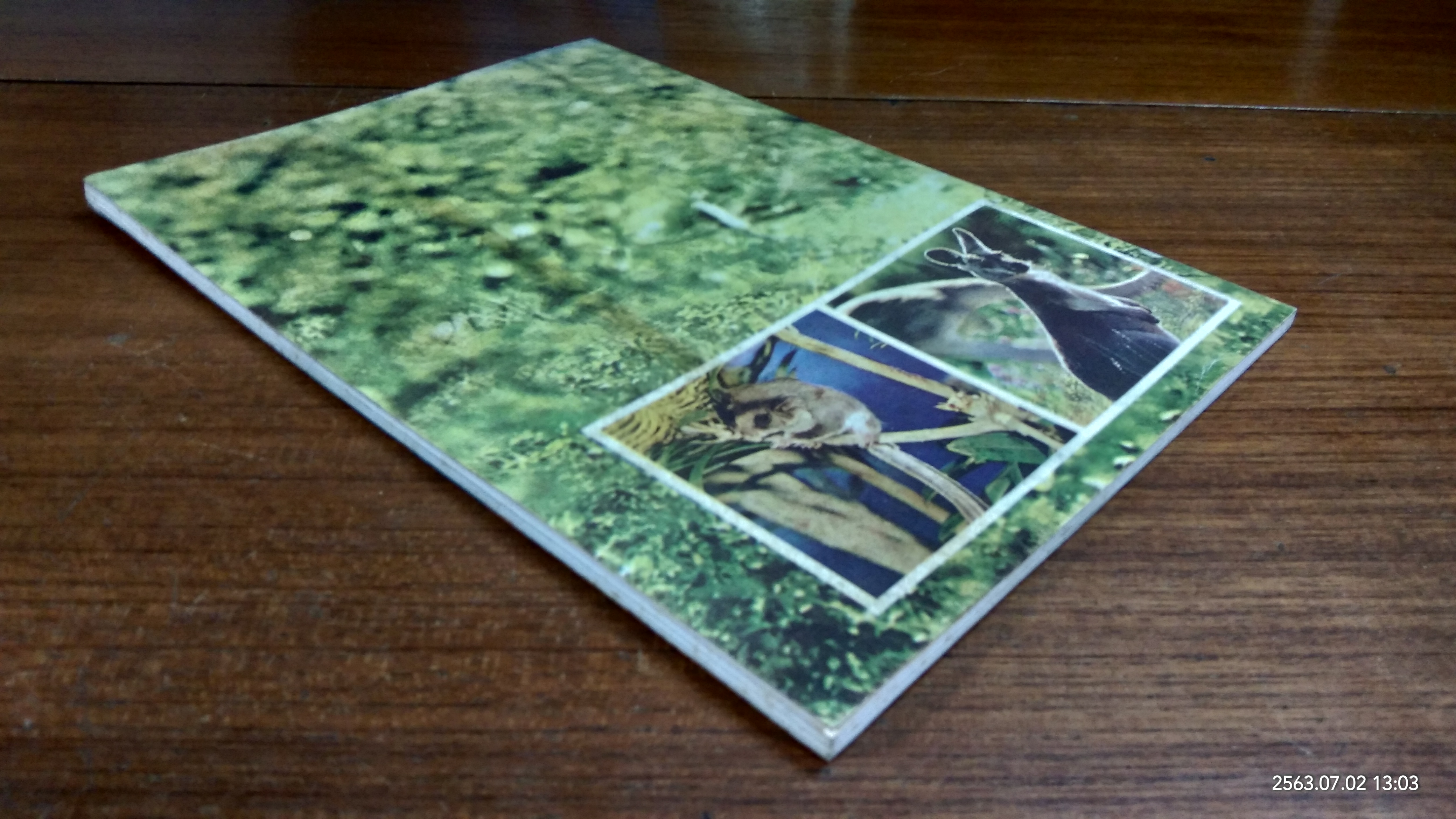 ประมวลภาพ และเรื่อง ชีวิตสัตว์ป่านานาชนิด / ตัณติมา ประภาวิชัย