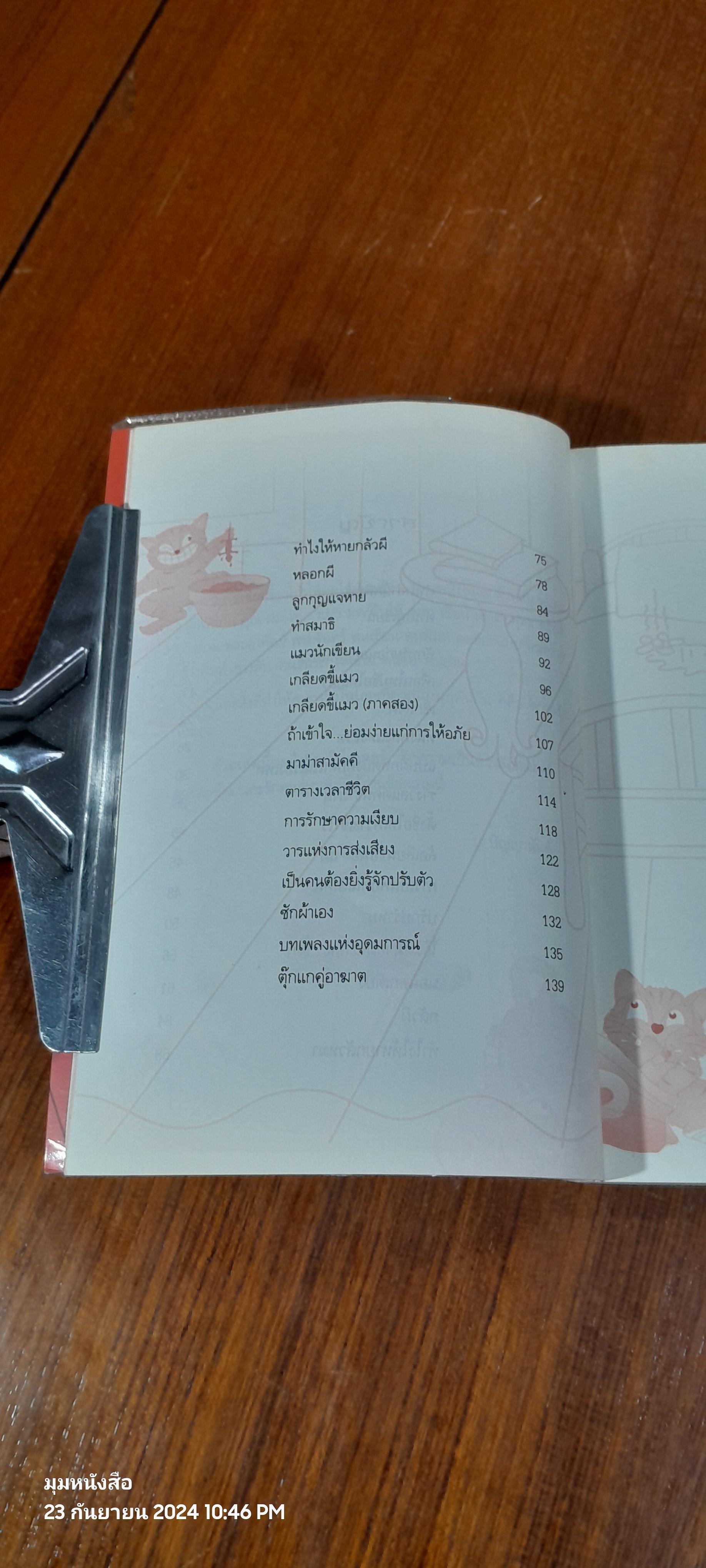 ไทเกอร์แมวจอมป่วน / ป.ปัญญานันต์