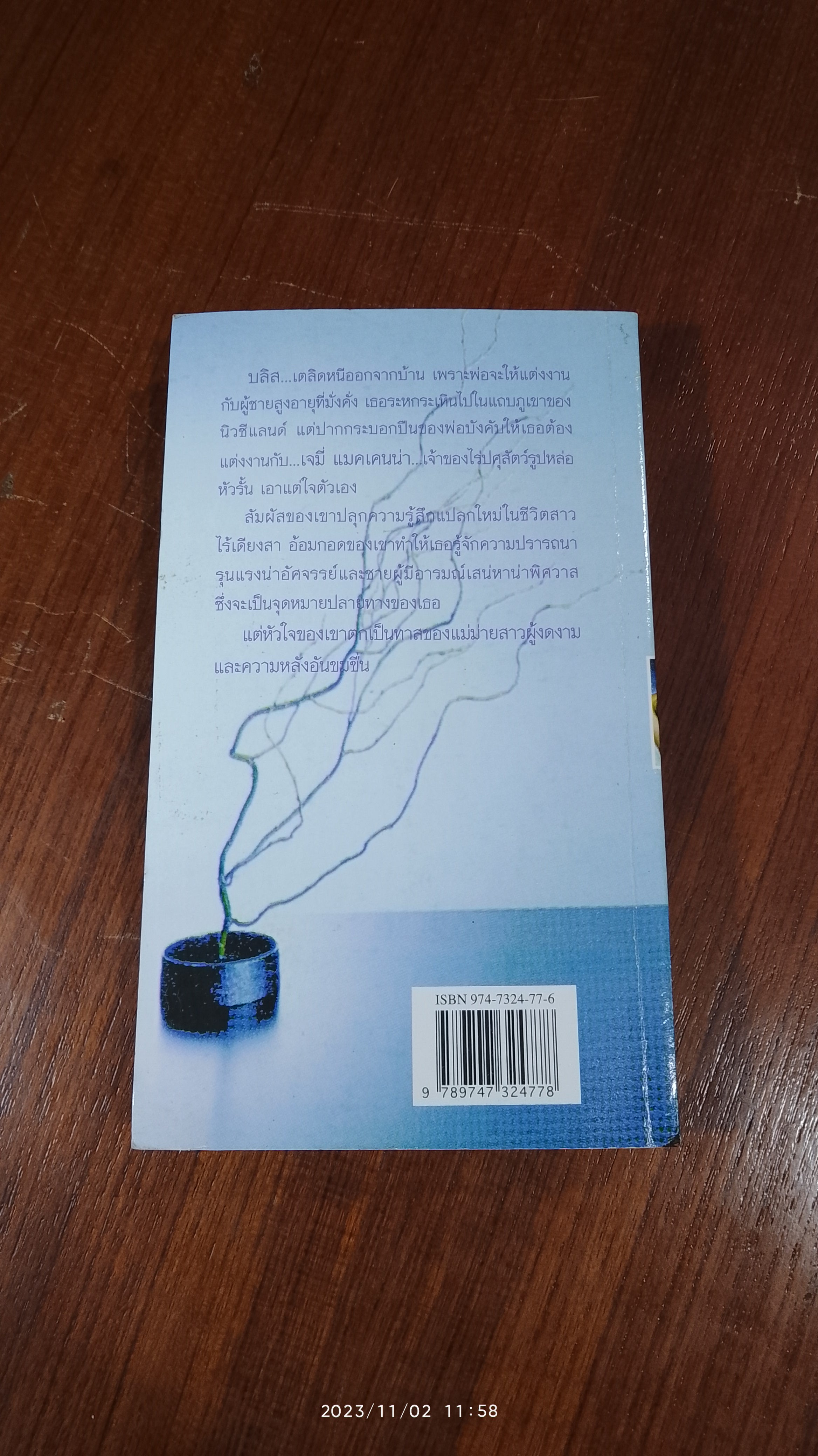 เจ้าบ่าวจำเป็น / ภัคพงษ์ แปล