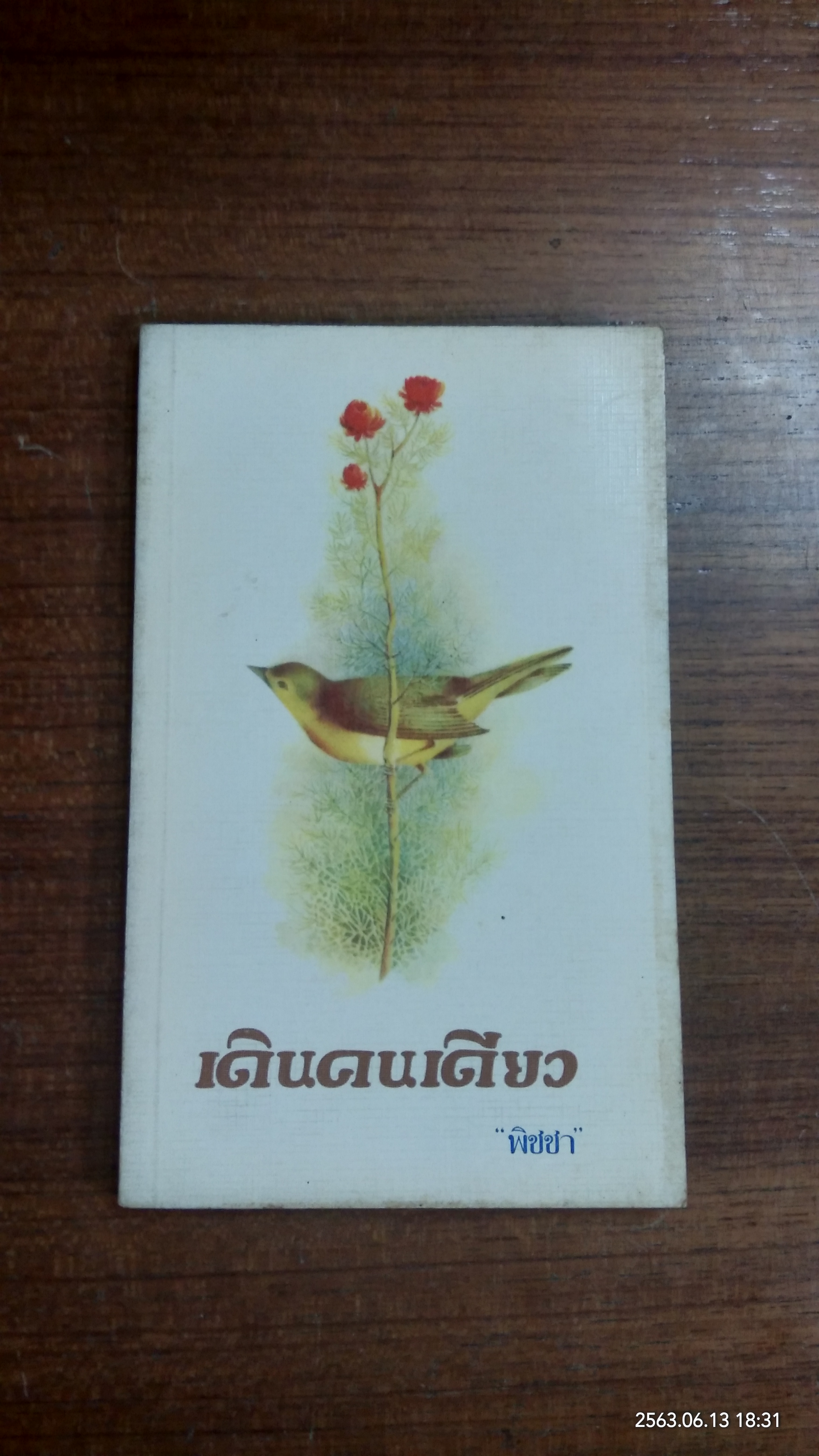 เดินคนเดียว / พิชชา