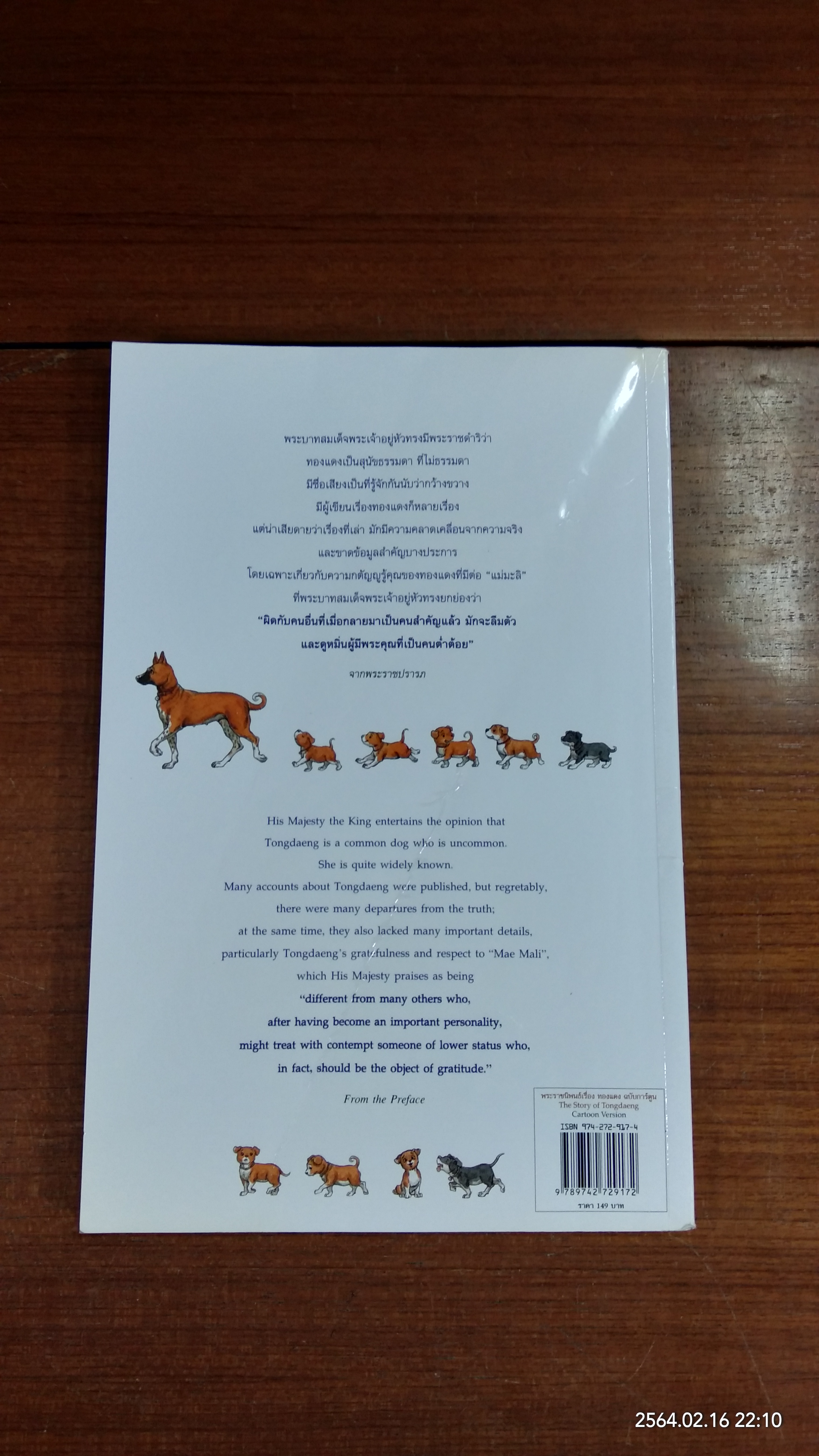 เรื่อง ทองแดง ฉบับการ์ตูน