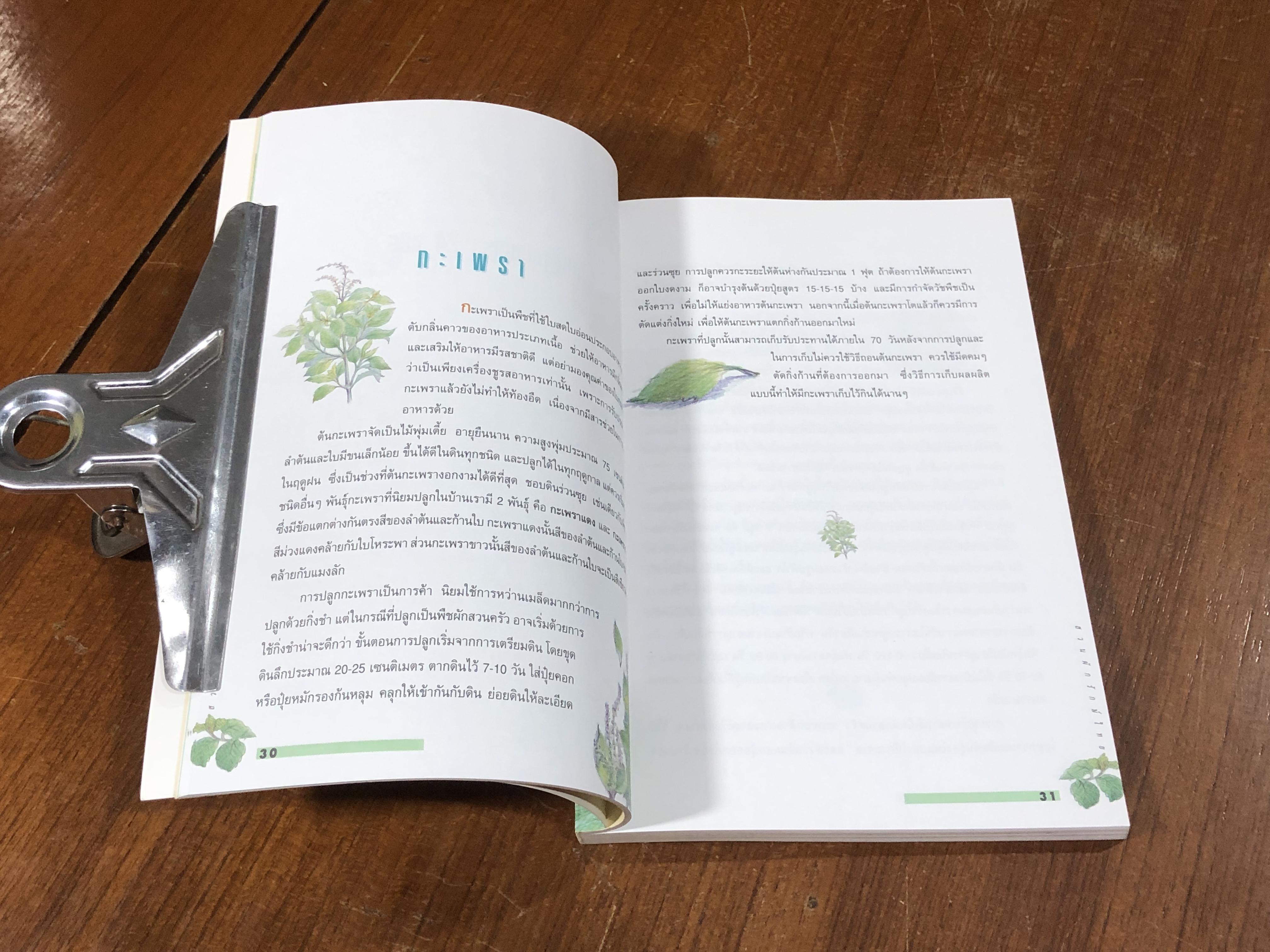 สวนผักรักษ์ไทย / ธ.กสิกรไทย