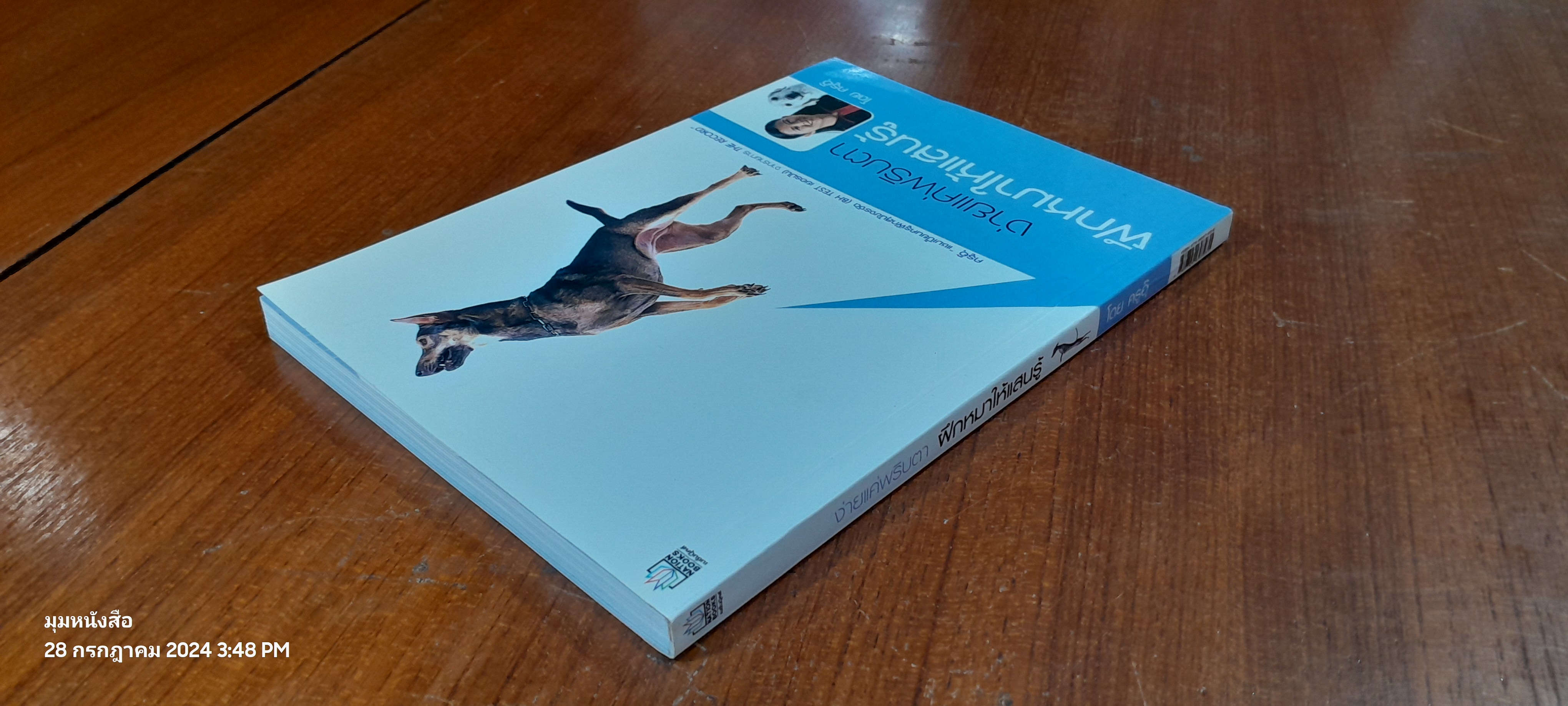 ง่ายแค่พลิบตา ฝึกหมาให้แสนรู้ / ครูอุ๊