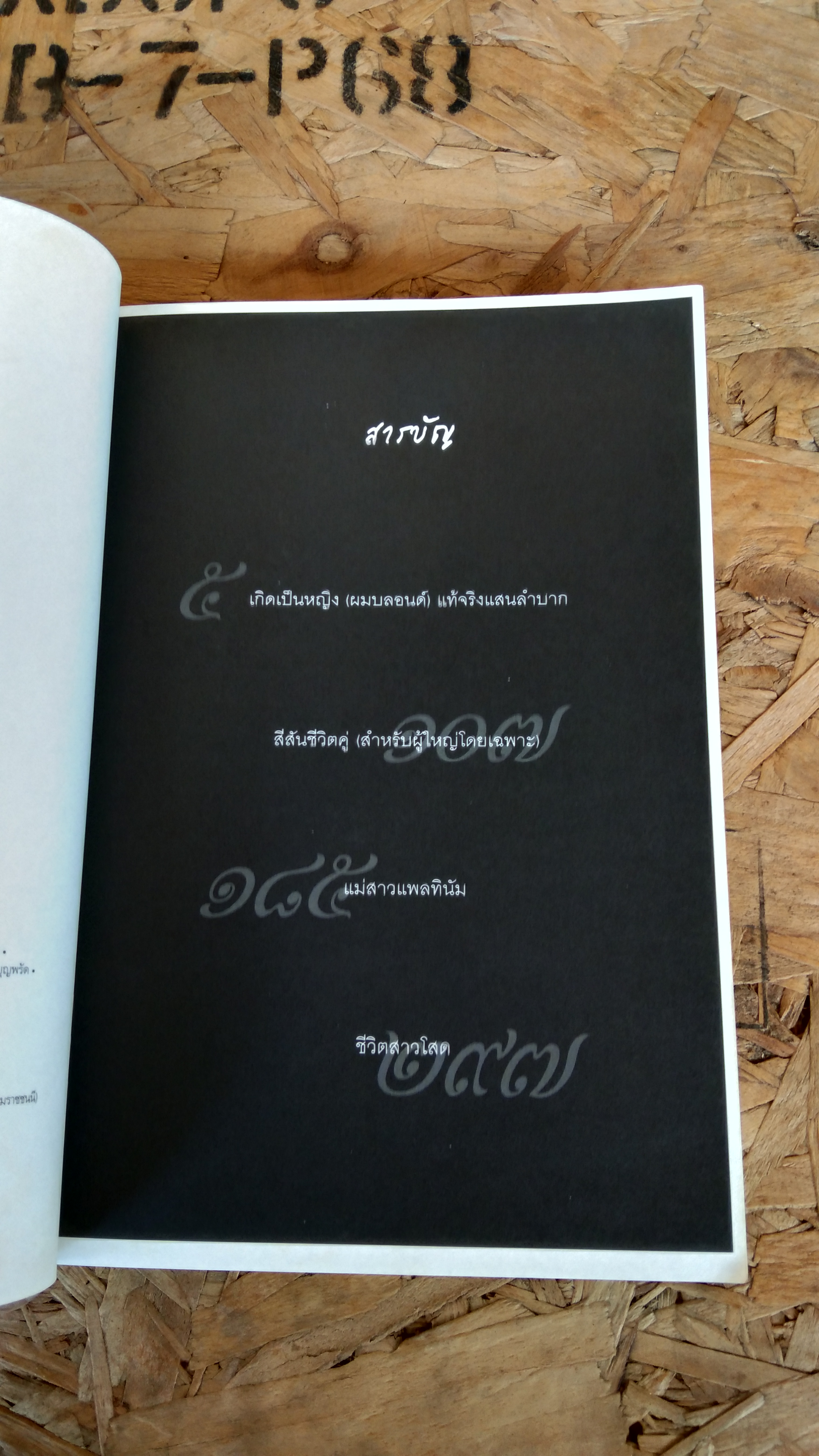 สี่สาวสุดแสบ / แคนเดช บุชเนลส์