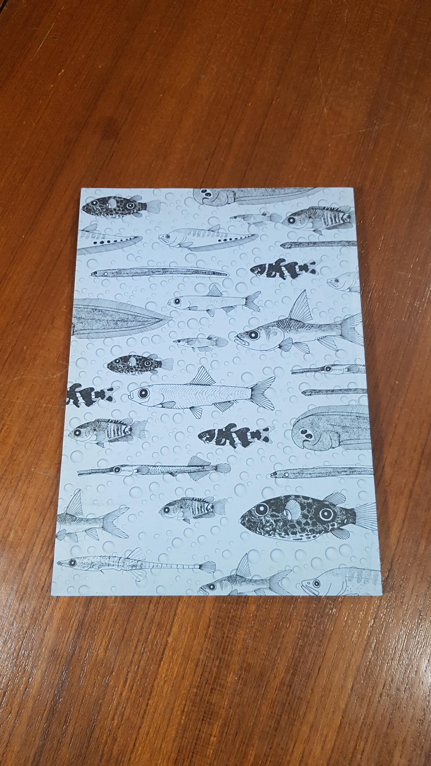 ลูกปลาน้ำจืดวัยอ่อนของประเทศไทย II / อภิชาติ เติมวิชชากร