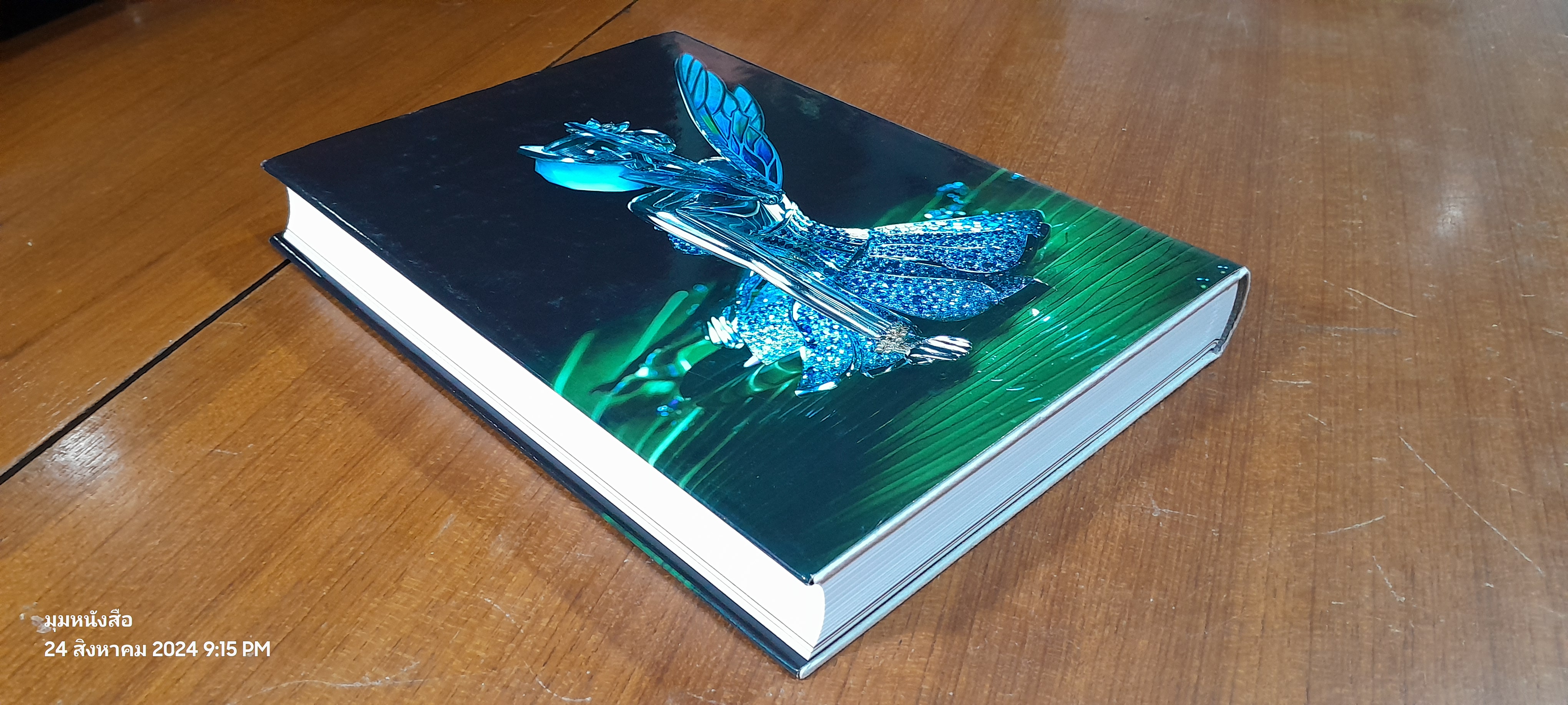 AUTOMATA - NICHOLAS FOULKES