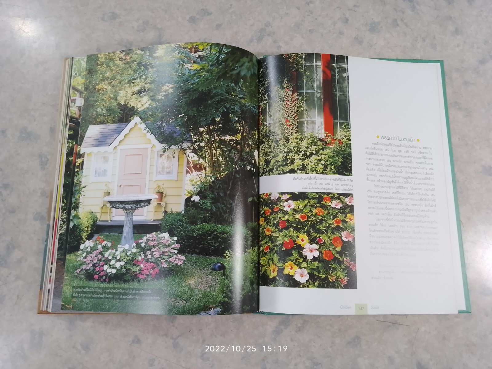 CHILDREN SPACE / บ้านและสวน