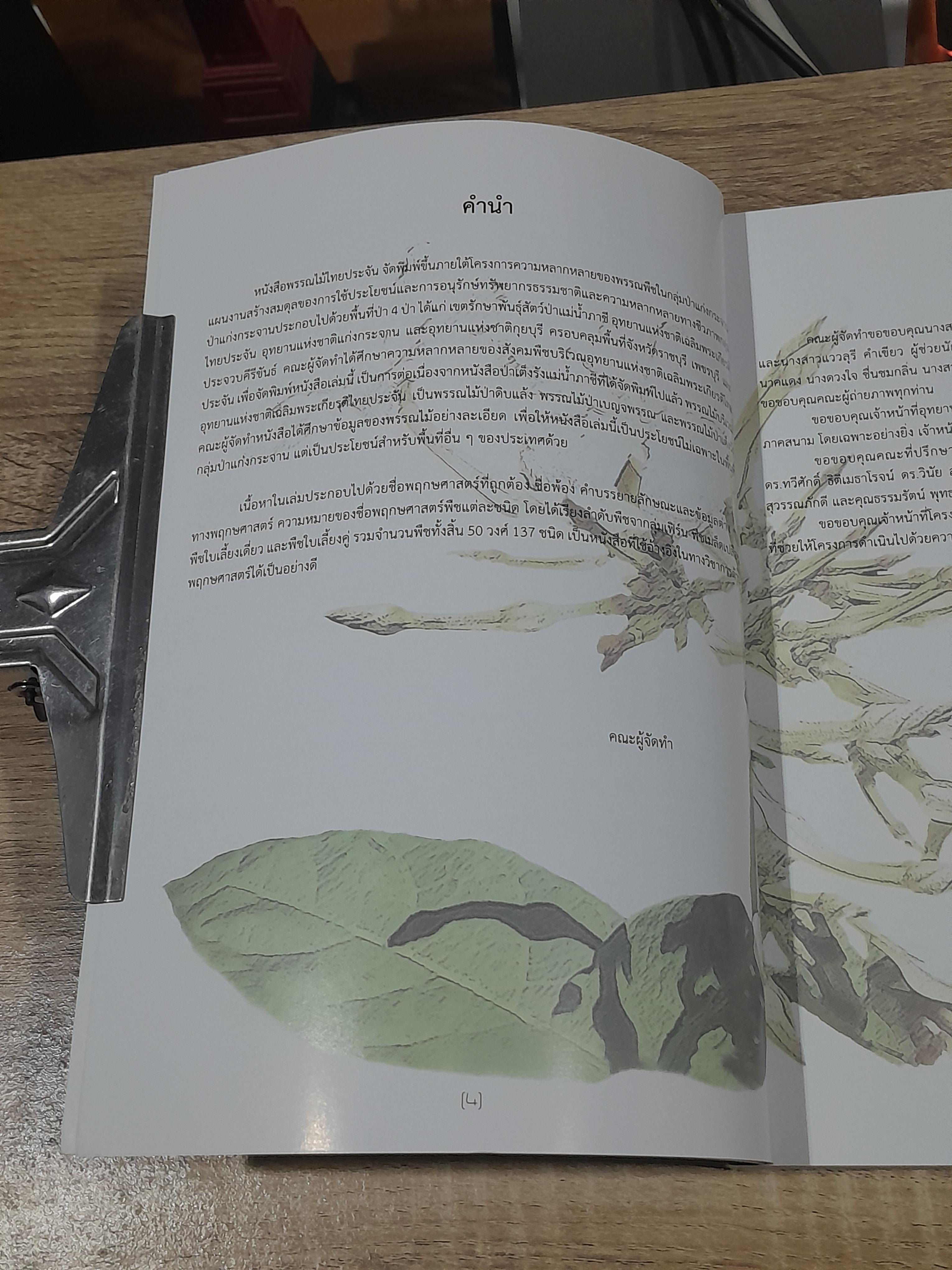 พรรณไม้ ไทยประจัน