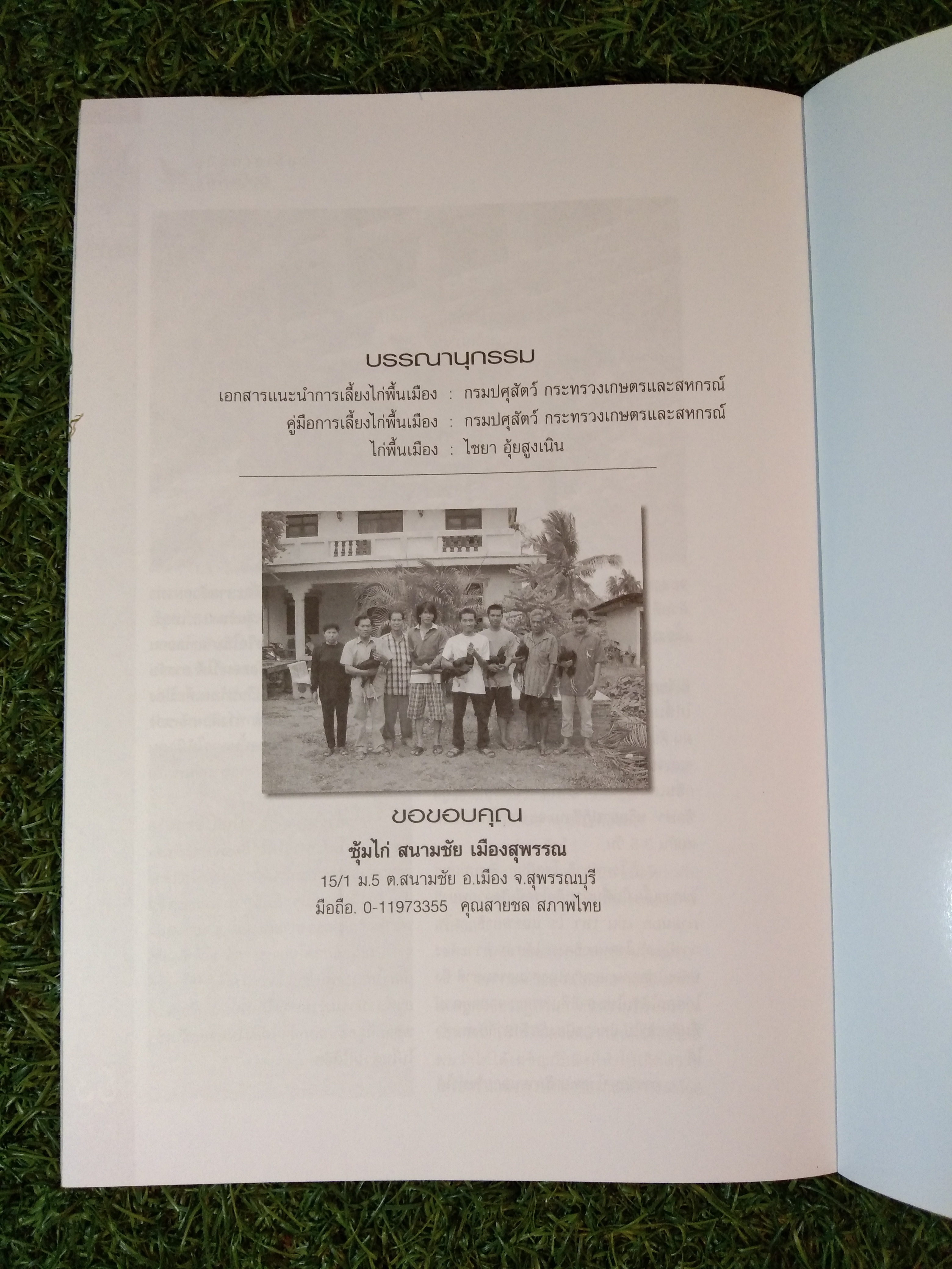 ไก่พื้นเมือง สัตว์เศรษฐกิจพื้นบ้านยอดนิยม / บวรศักดิ์ หัสดิน