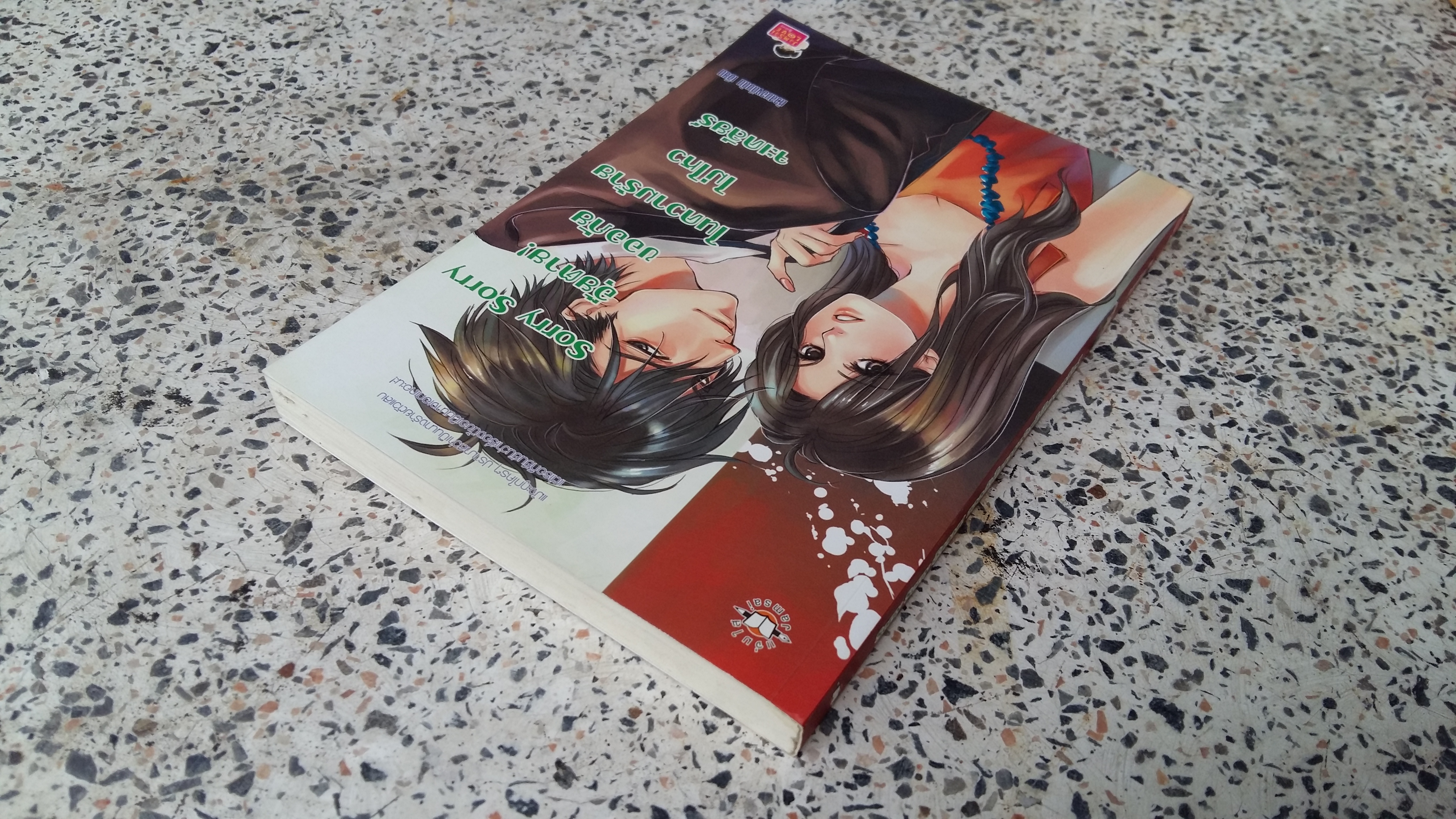 Sorry Sorry อุ๊ยตาย ขออภัยในความร้ายไม่ไหวจะเคลียร์