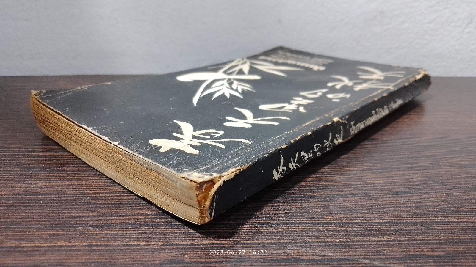 ฝันกลางฟดูใบไม้ผลิ / ปาจีน (สภาพไม่สมบูรณ์)