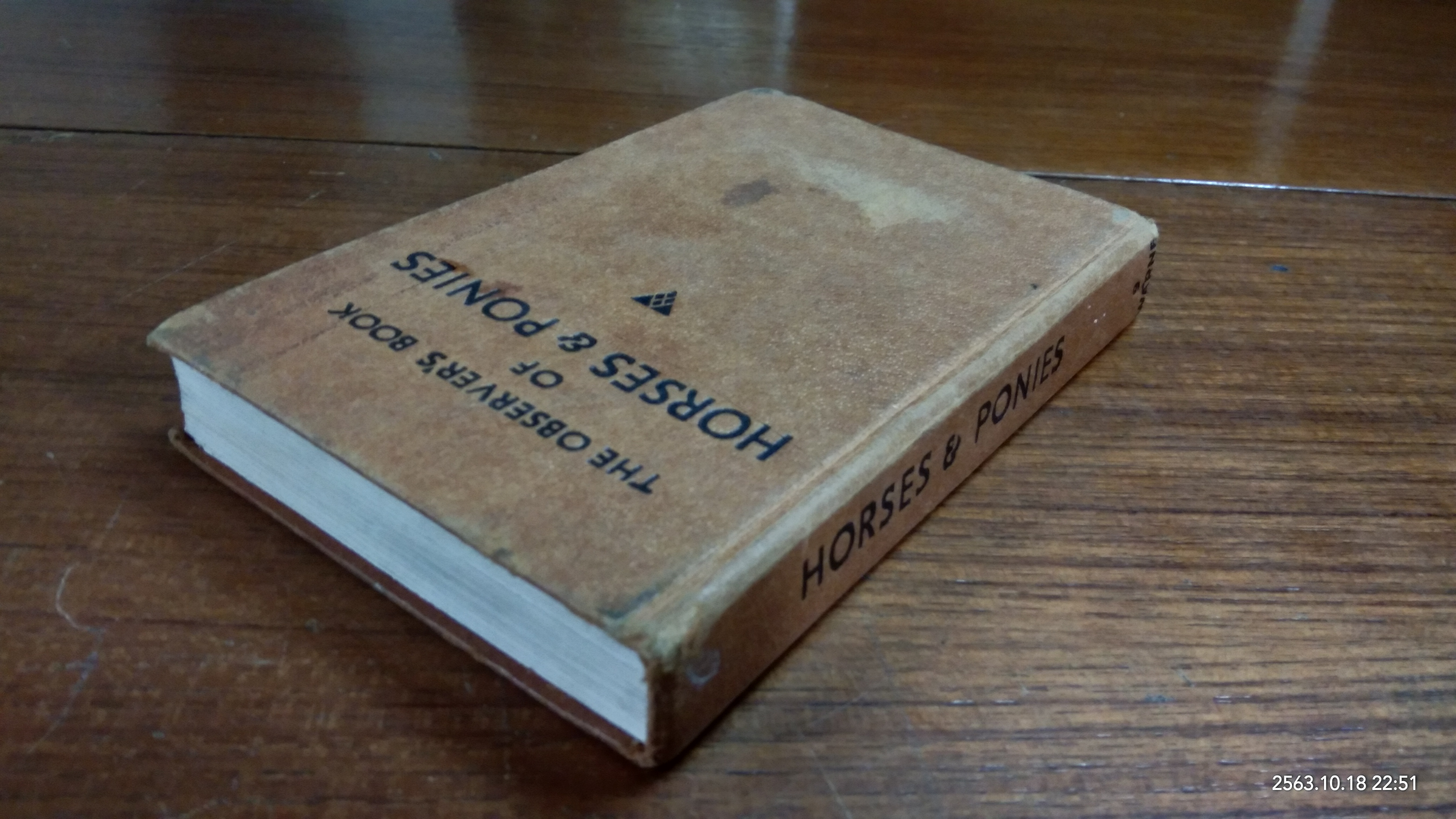 HORSES & PONIES / R.S. SUMMERHAYS