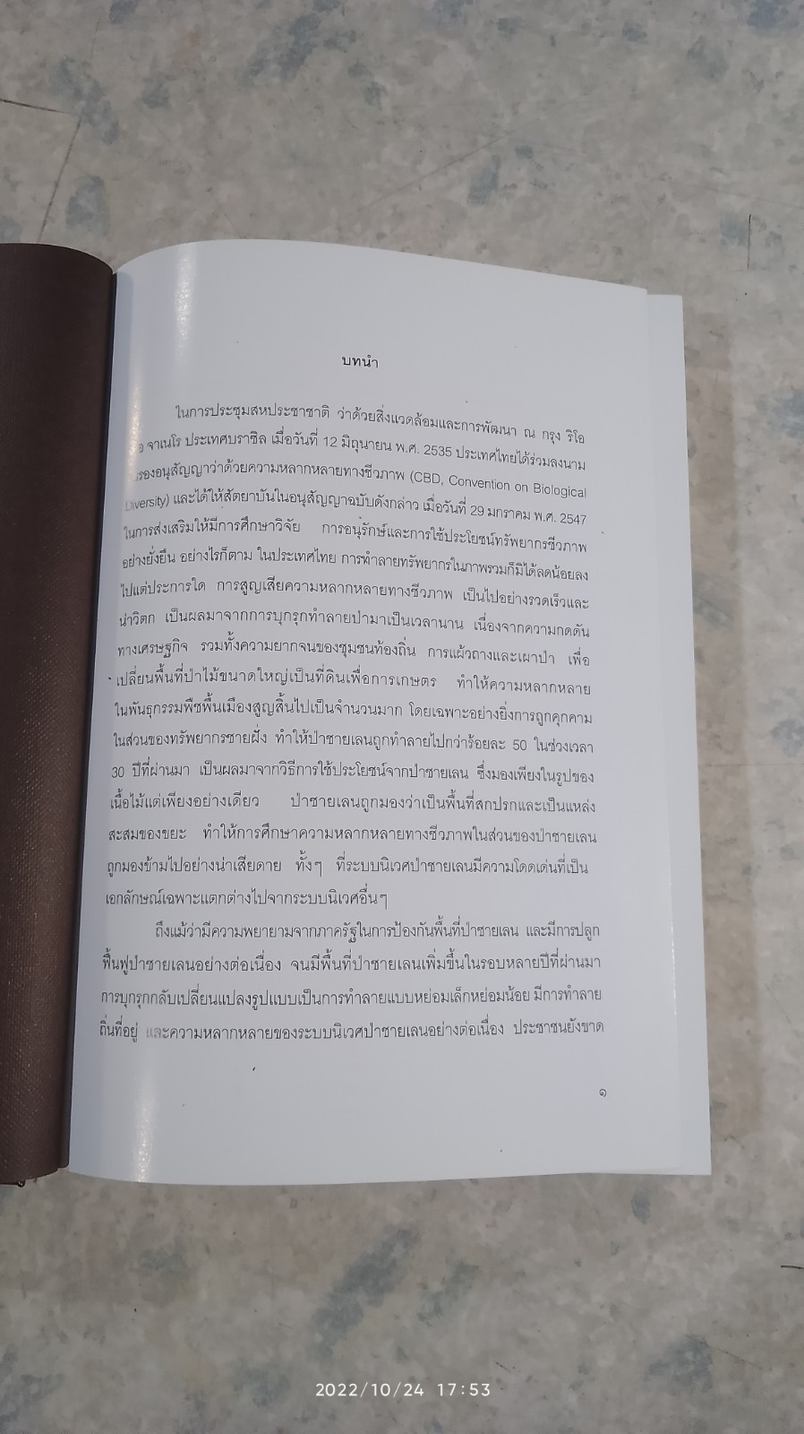 ความหลากหลายทางชีวภาพในป่าชายเลน อ่าวพังงา