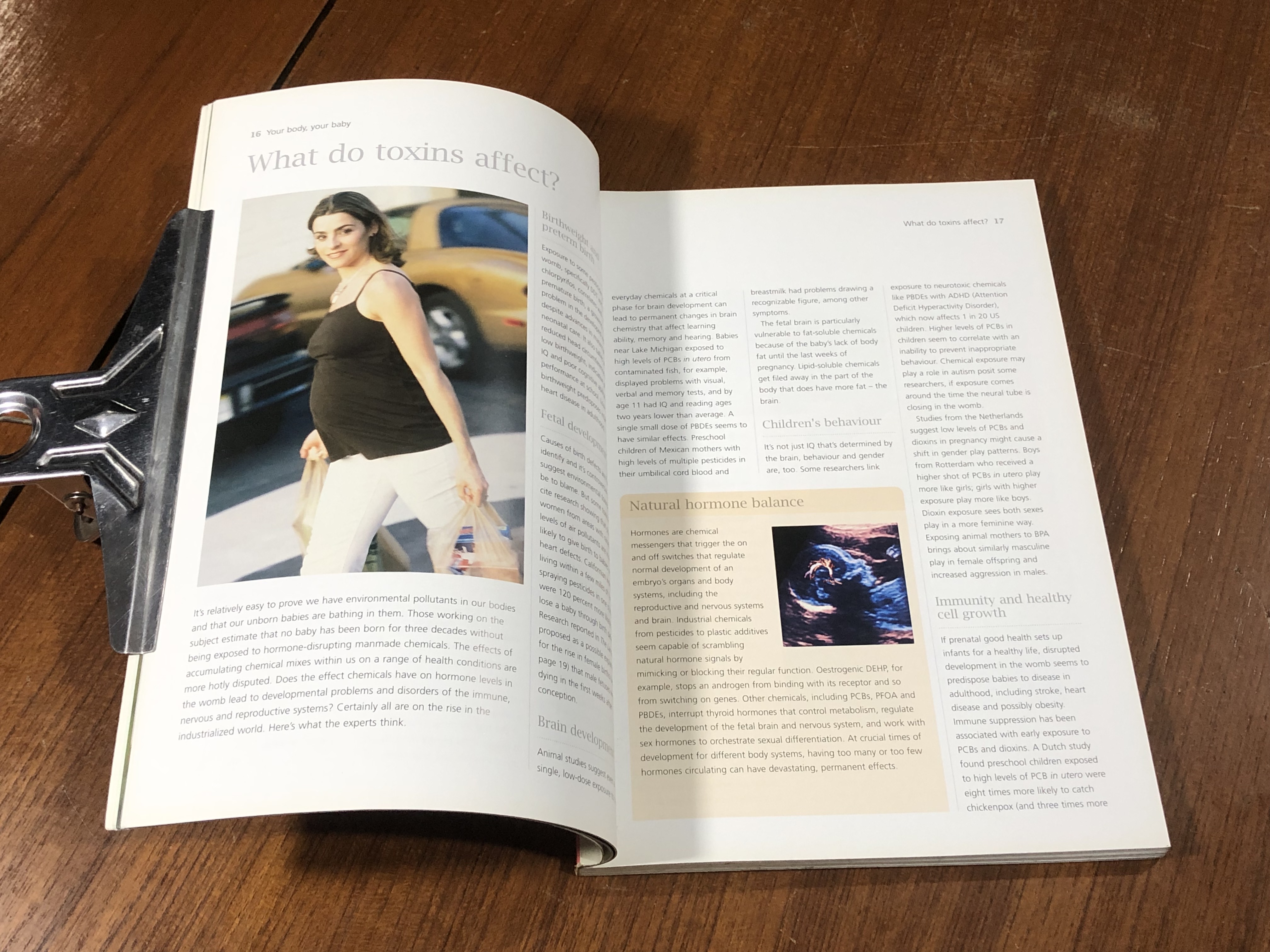 YOUR NON-TOXIC PREGNANCY / Susannah Marriott