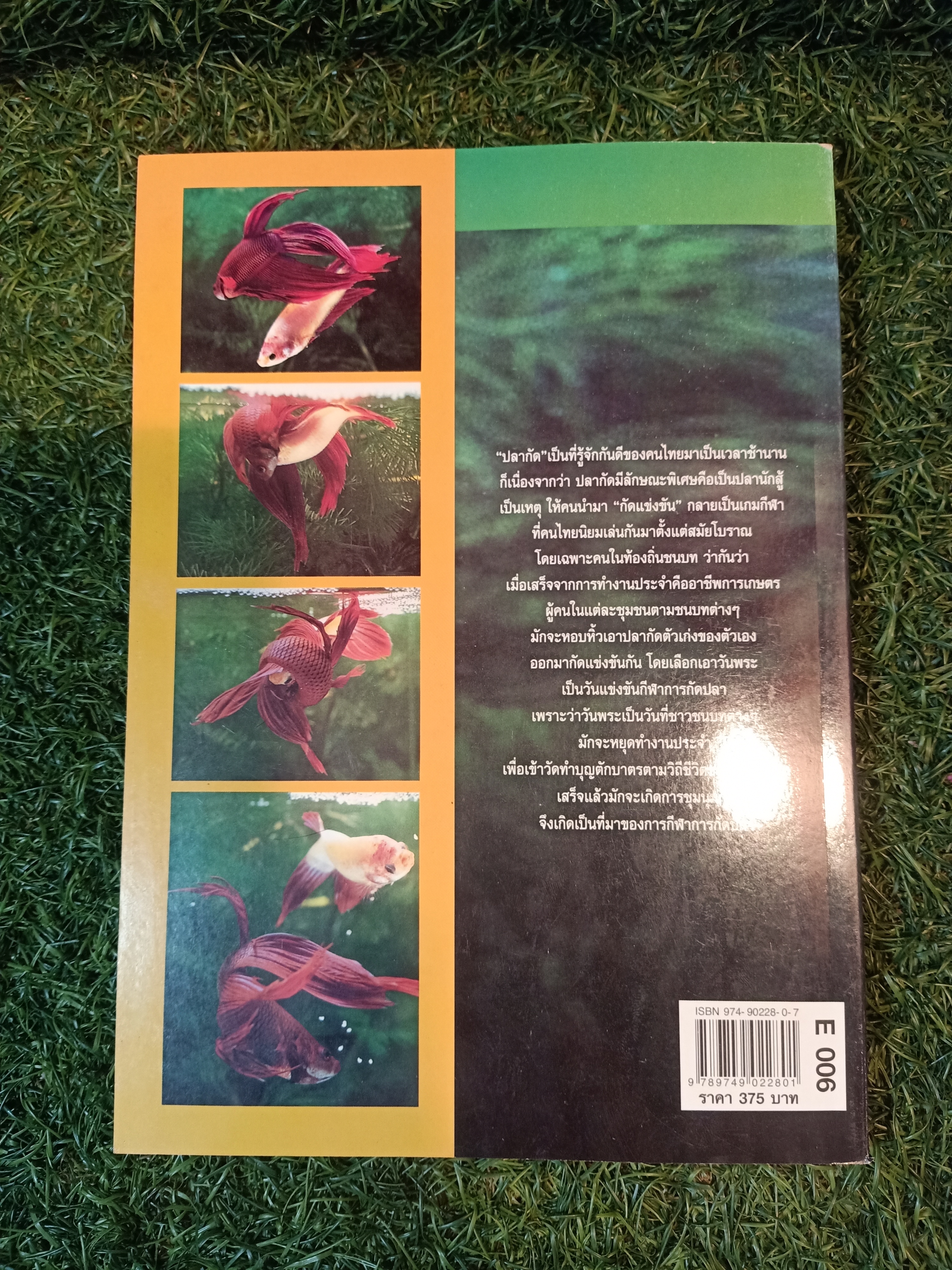 สายพันธุ์และการเพาะเลี้ยง ปลากัด / ธนากร ฤทธิ์ไธสง