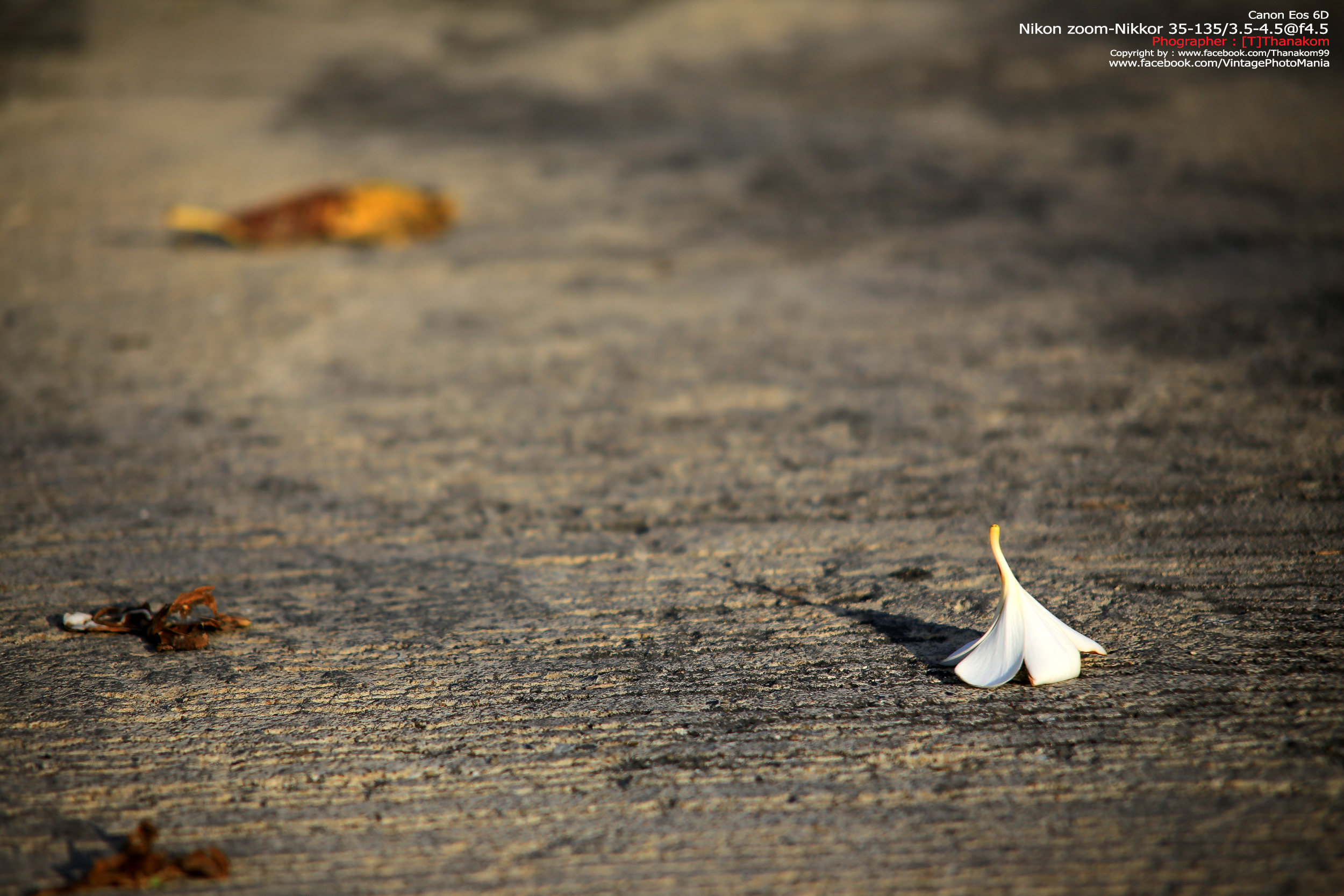 Nikon Zoom-Nikkor 35-135/3.5-4.5 *Nikon Ai-S Mount เลนส์ซูมอเนกประสงค์