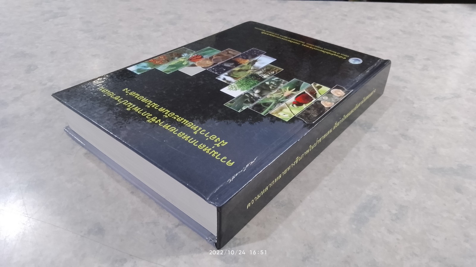 ความหลากหลายทางชีวภาพในป่าชายเลน ฝั่งอ่าวไทยและอันดามันตอนล่าง