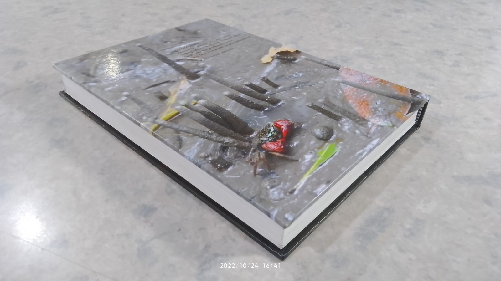 ความหลากหลายทางชีวภาพในป่าชายเลน อ่าวพังงา