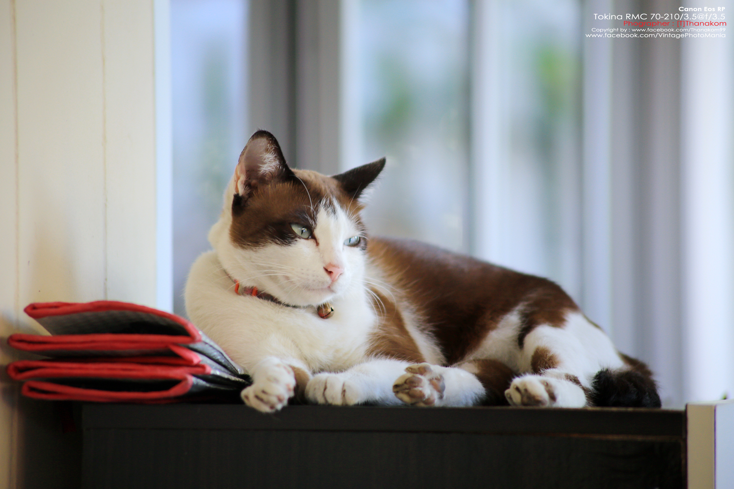 Tokina RMC 70-210/3.5 *Nikon Ai-S Mount เลนส์ไวแสงคมๆโบเก้สวย