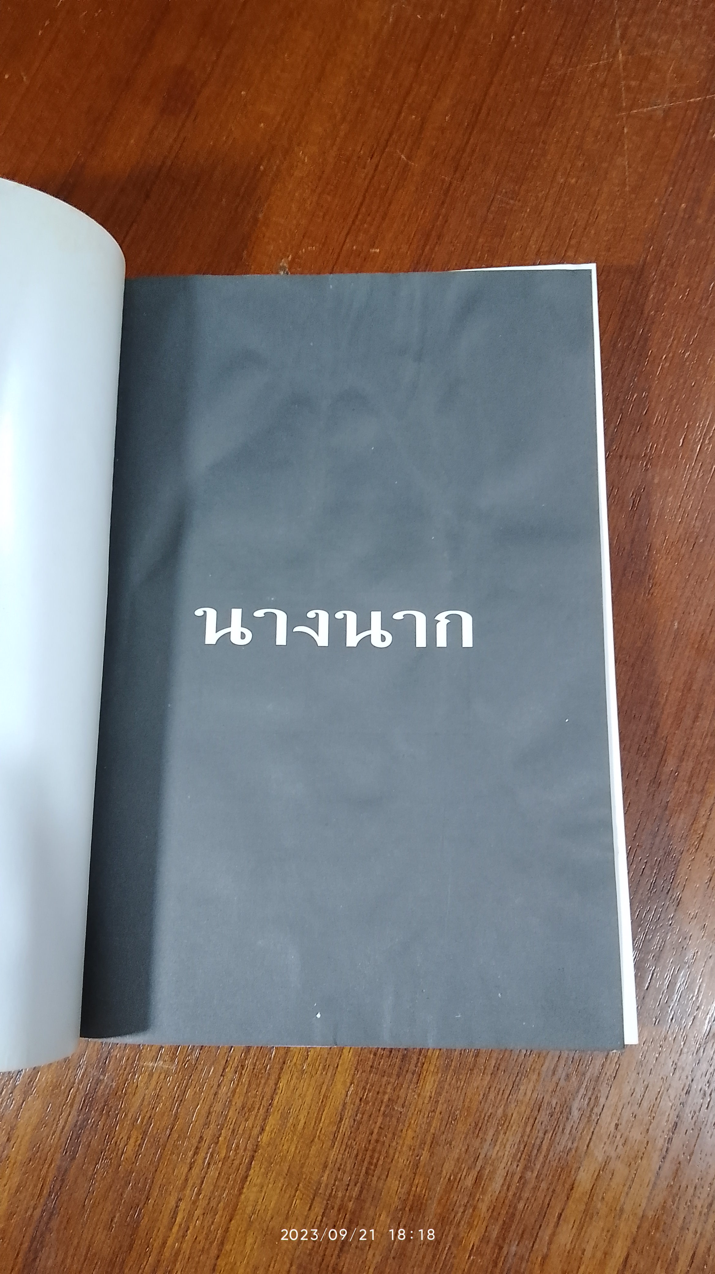 นางนาก / นนทรีย์ นิมิบุตร (มีรอยโดนน้ำ)