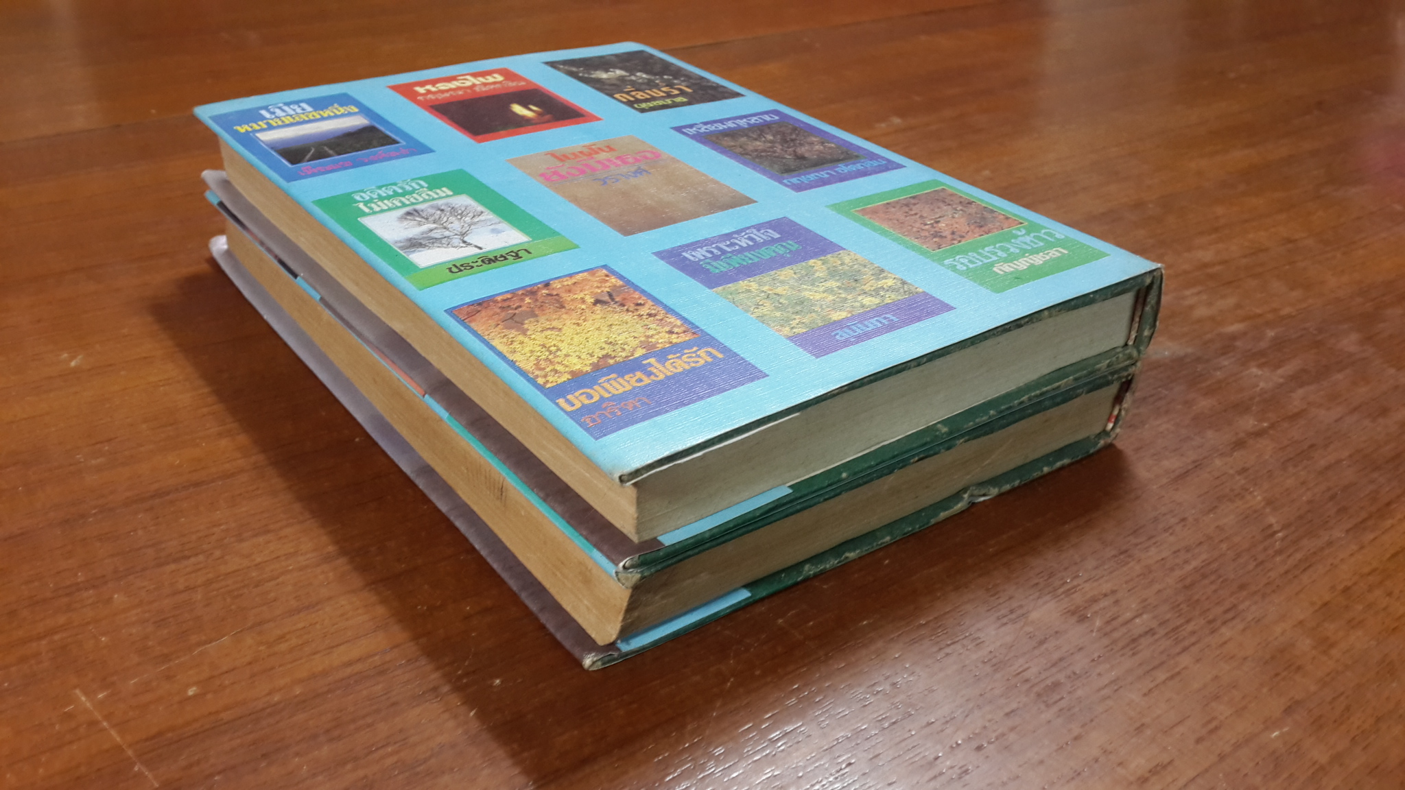 ไม่สิ้นไร้ไฟสวาท (2เล่มจบ) / นันทนา วีระชน