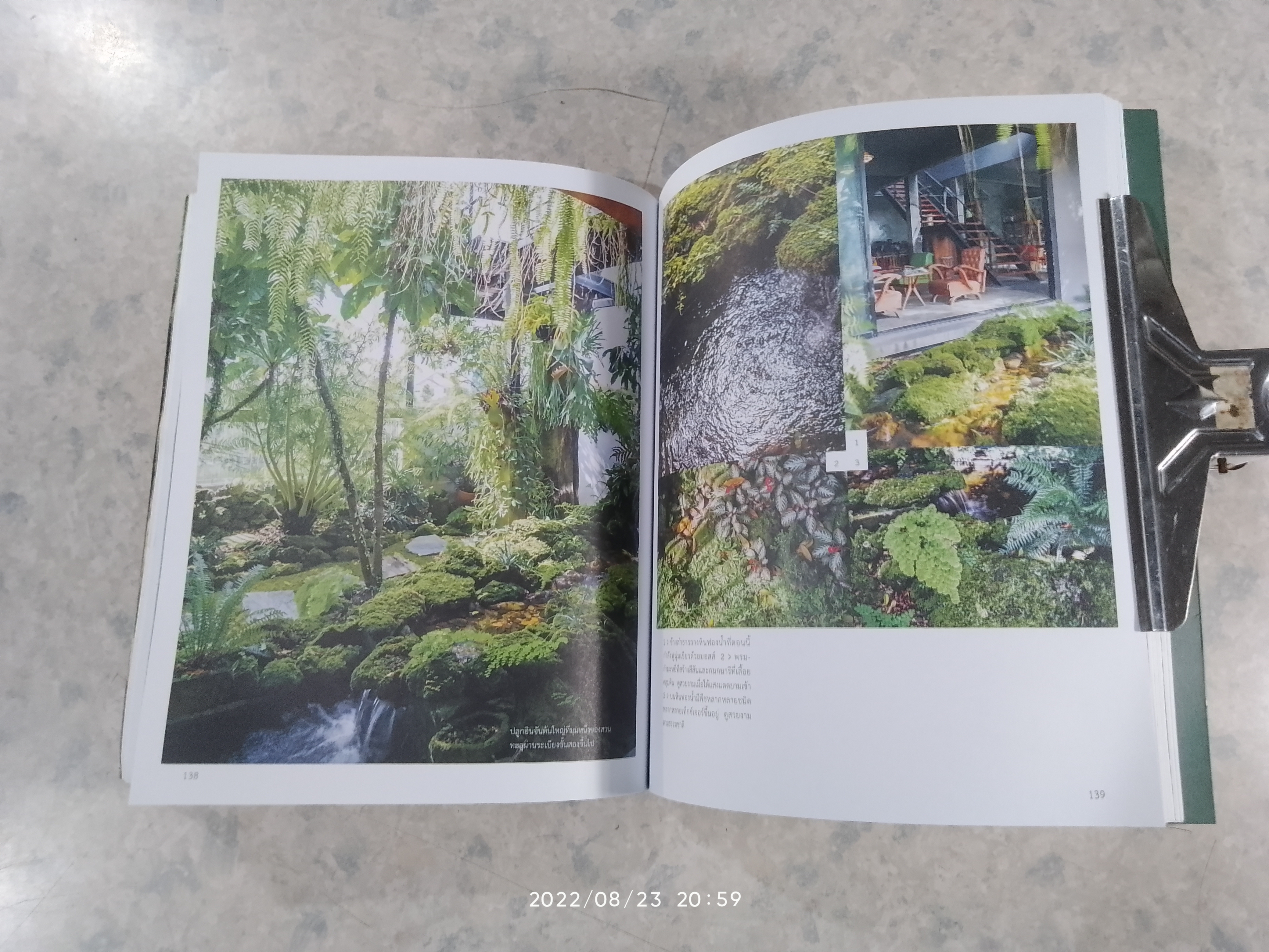 สวนธรรมชาติ / ธนาศรี สัมพันธารักษ์