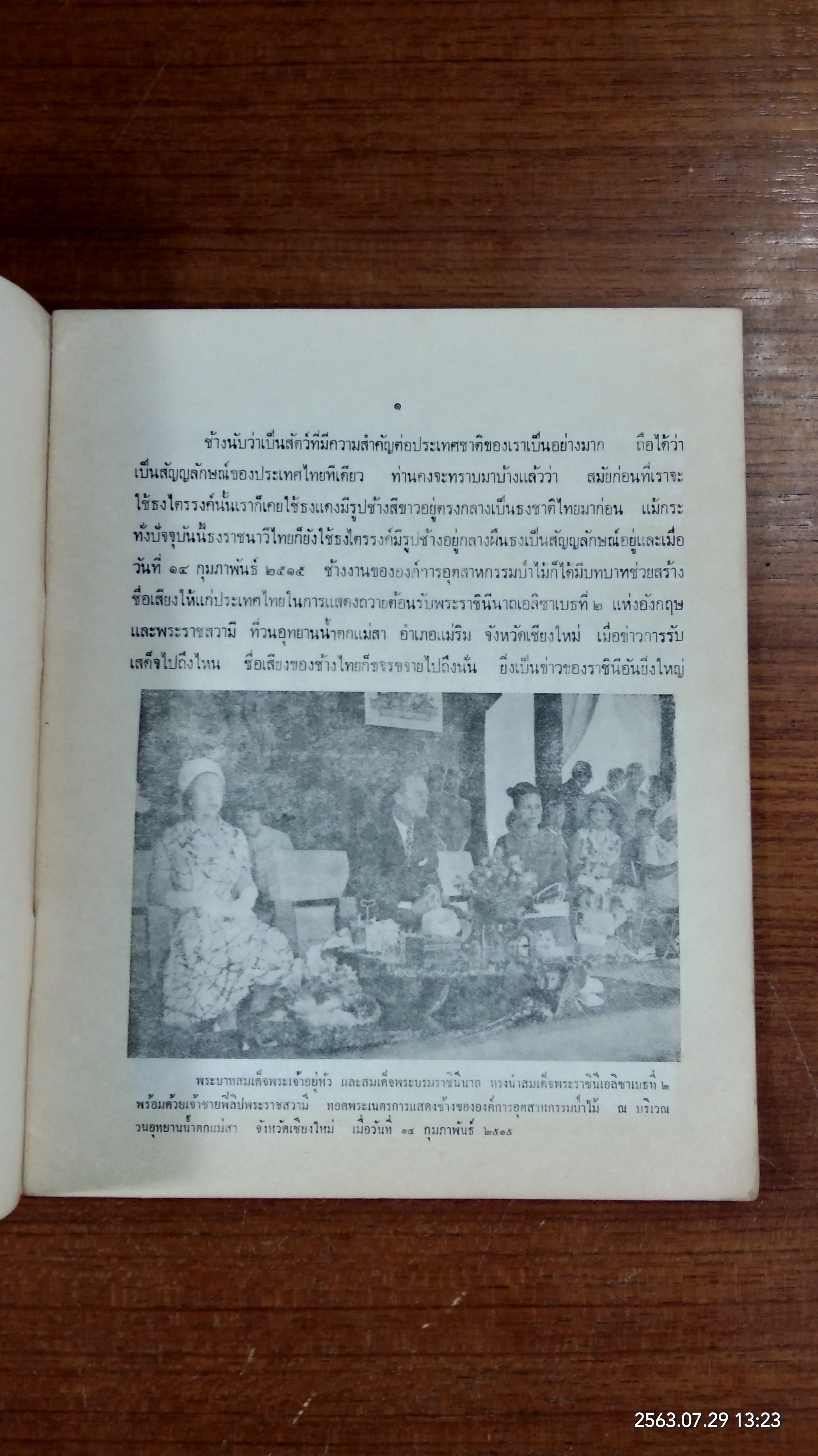 ช้างไทย / ดร.อำนวย คอวนิช