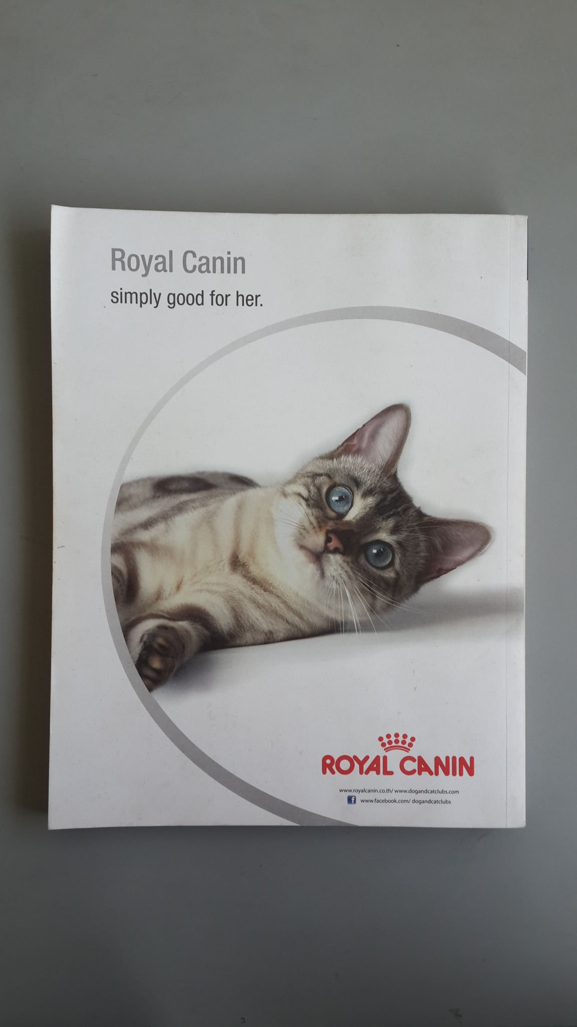 a day ฉบับที่ 152