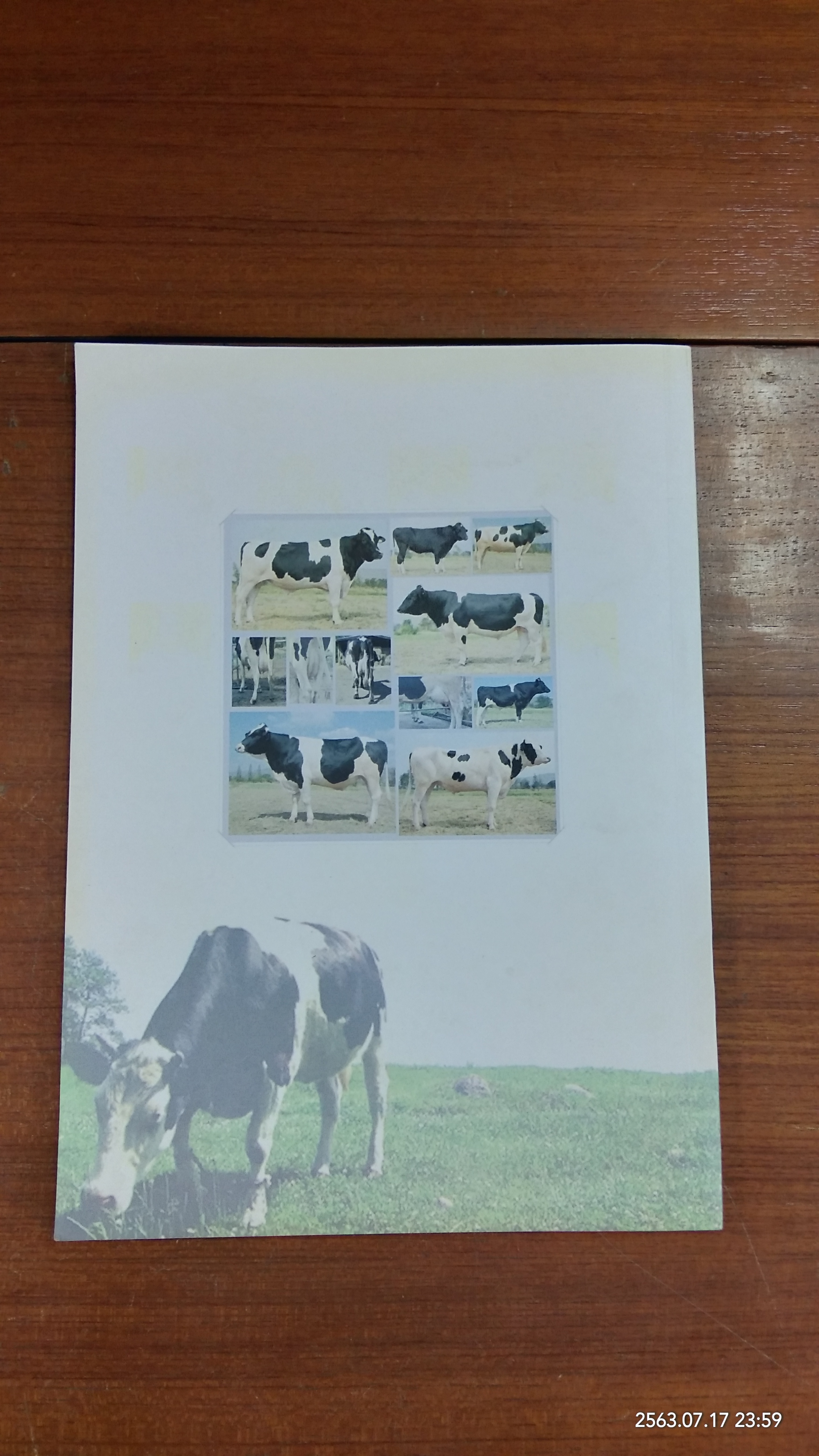 สมุดพ่อพันธุ์โคนม 2554 / กรมปศุสัตว์